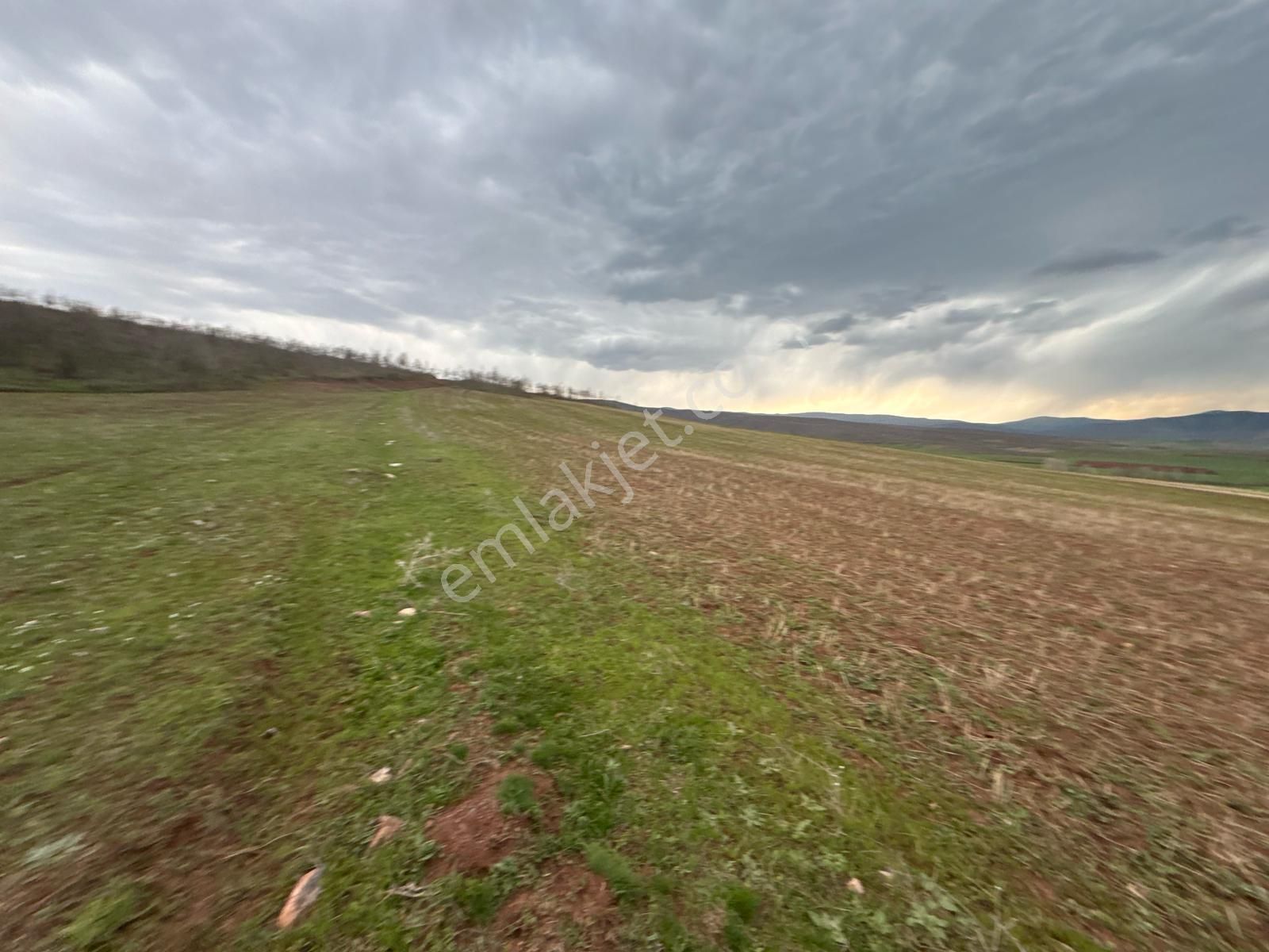 Tokat Kızık Köyünde Satılık Arazi - Görsel 13