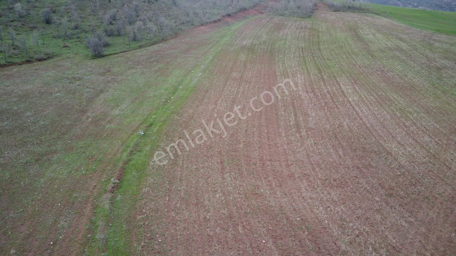 Tokat Kızık Köyünde Satılık Arazi - Görsel 2