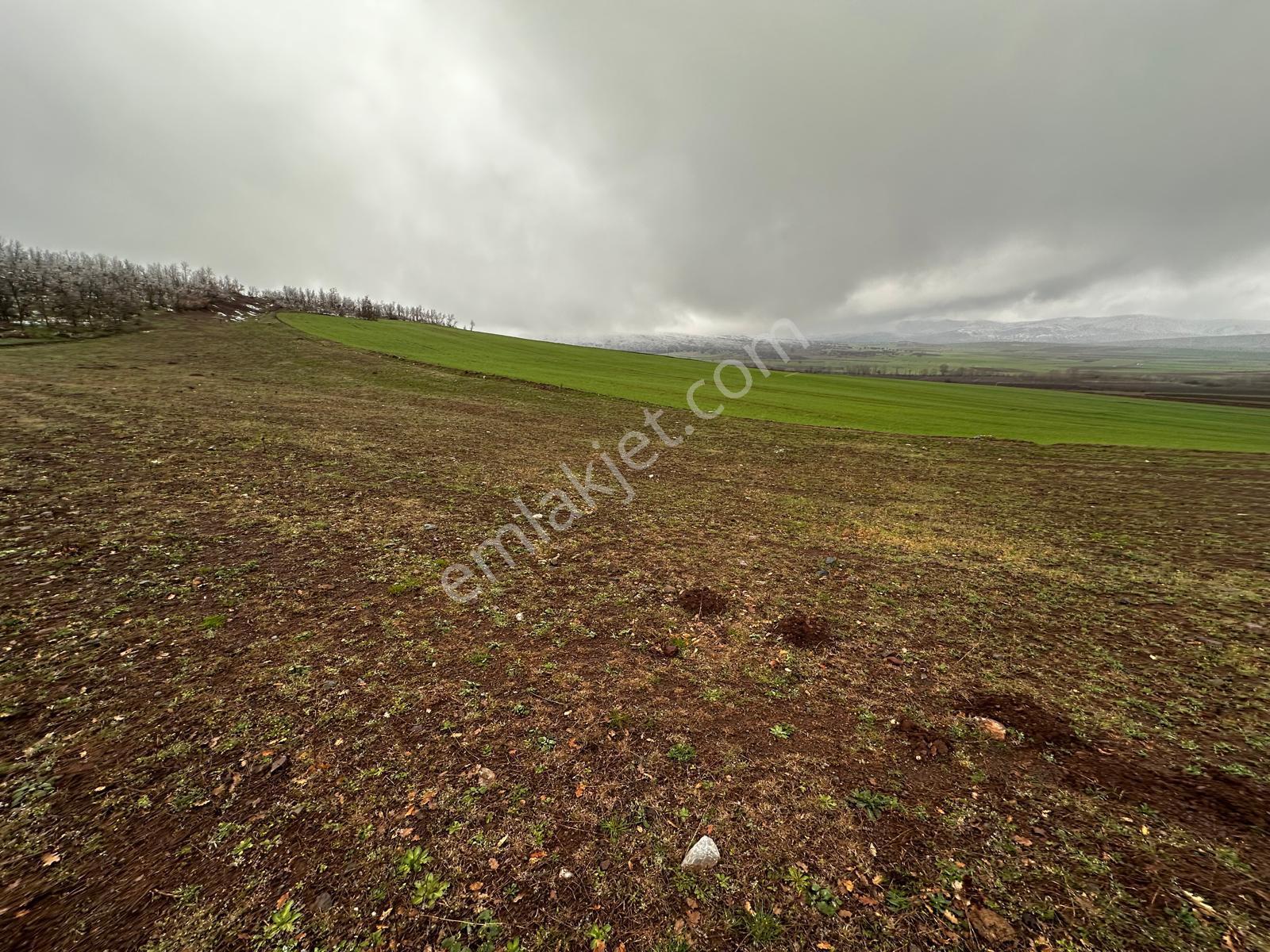 Tokat Kızık Köyünde Satılık Arazi - Görsel 4