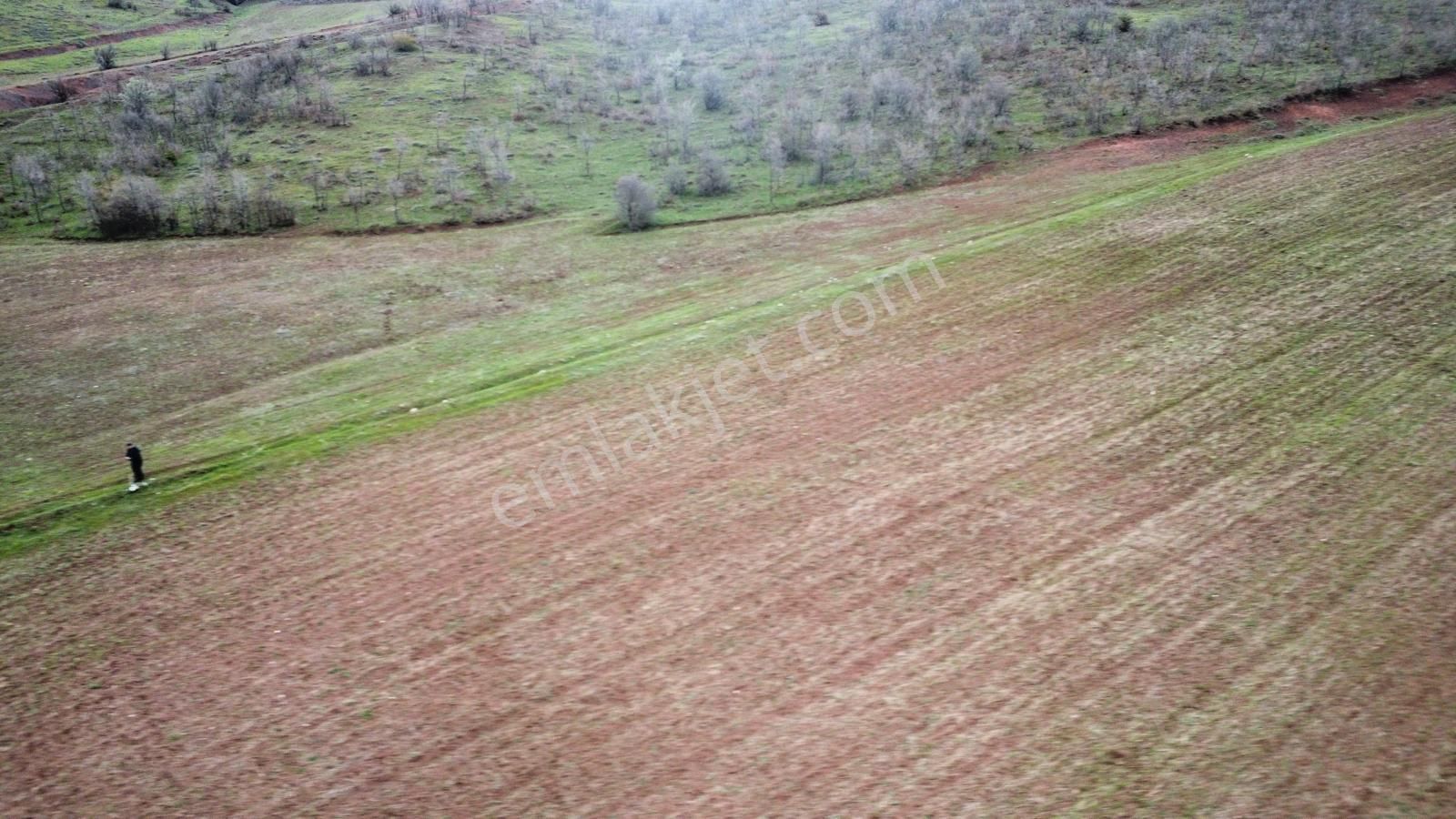 Tokat Kızık Köyünde Satılık Arazi - Görsel 12