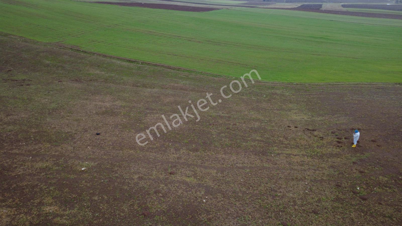 Tokat Kızık Köyünde Satılık Arazi - Görsel 9