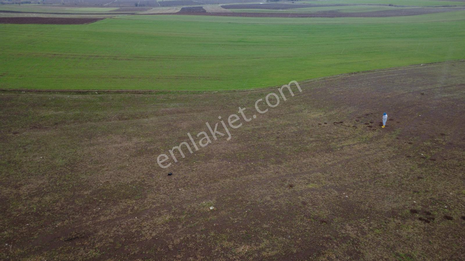 Tokat Kızık Köyünde Satılık Arazi - Görsel 3
