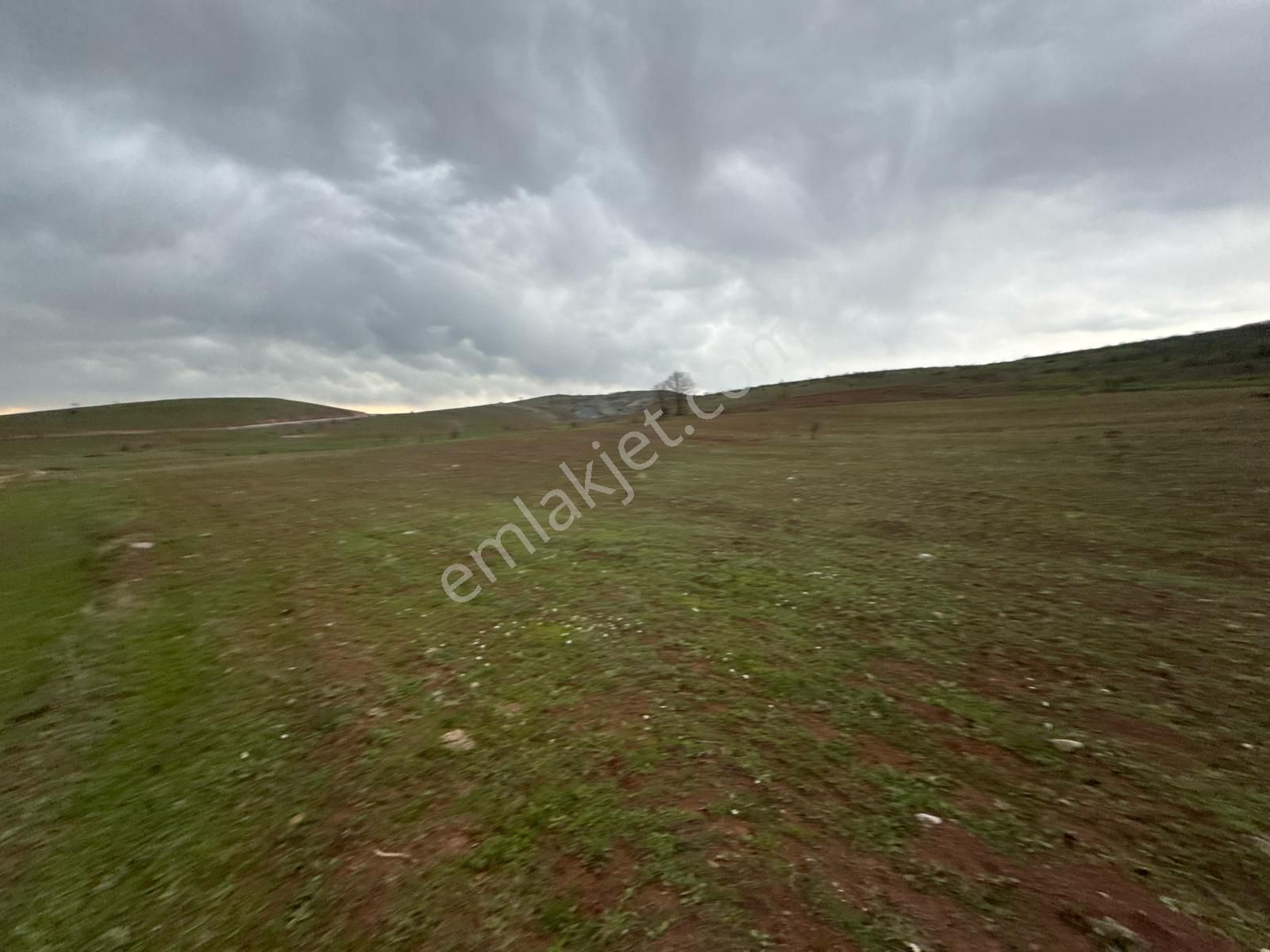 Tokat Kızık Köyünde Satılık Arazi - Görsel 28