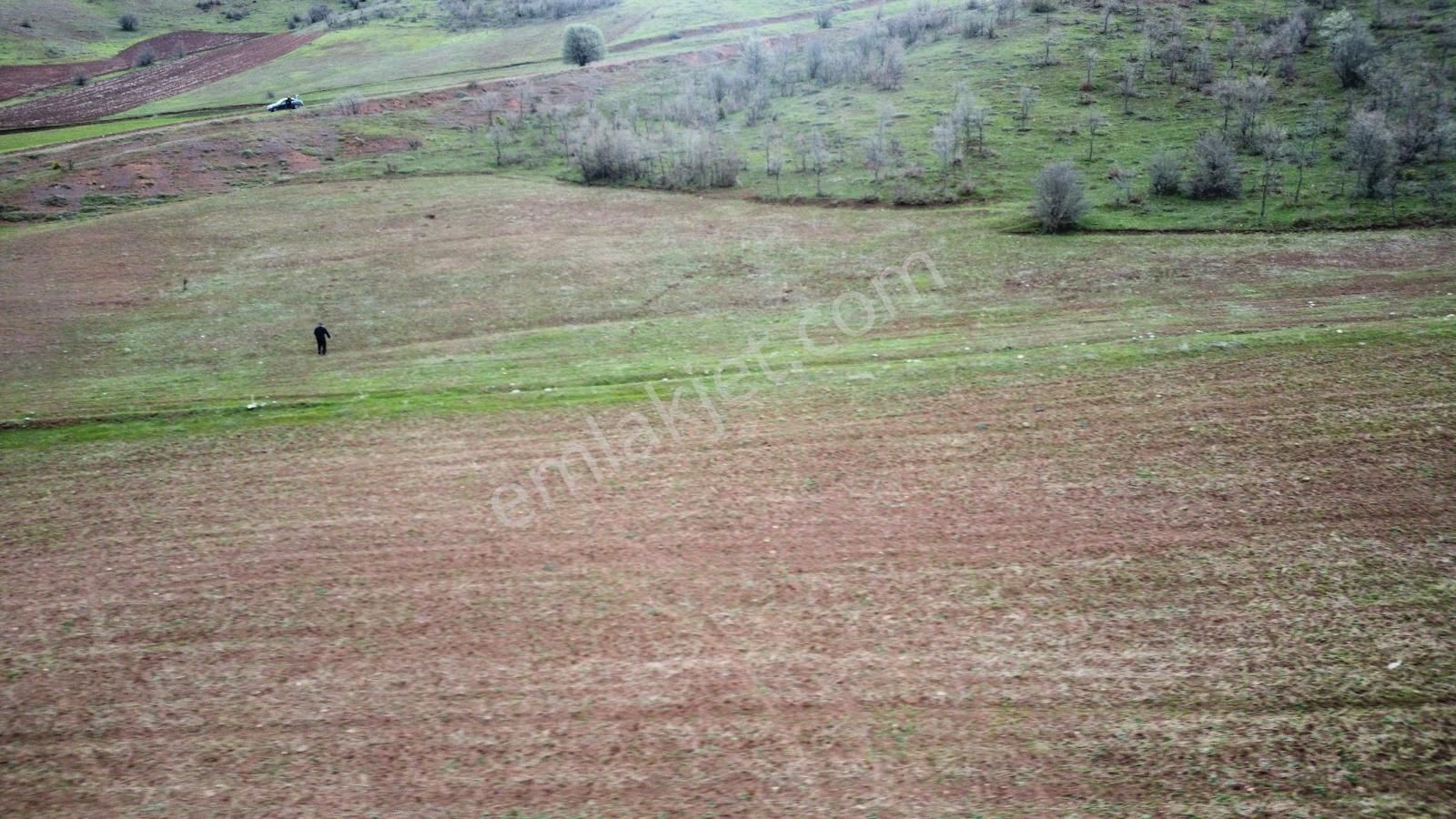 Tokat Kızık Köyünde Satılık Arazi - Görsel 14
