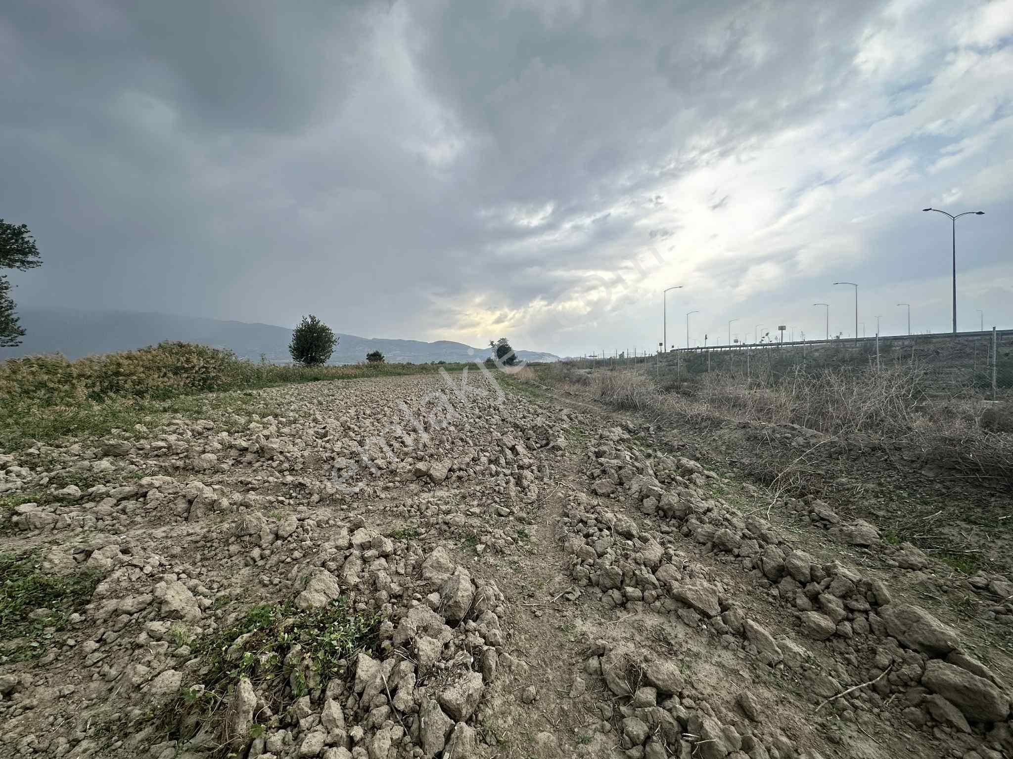 Nazilli Otoban Yol Ayrımında Satılık 9 Dönüm Tarla - Görsel 10