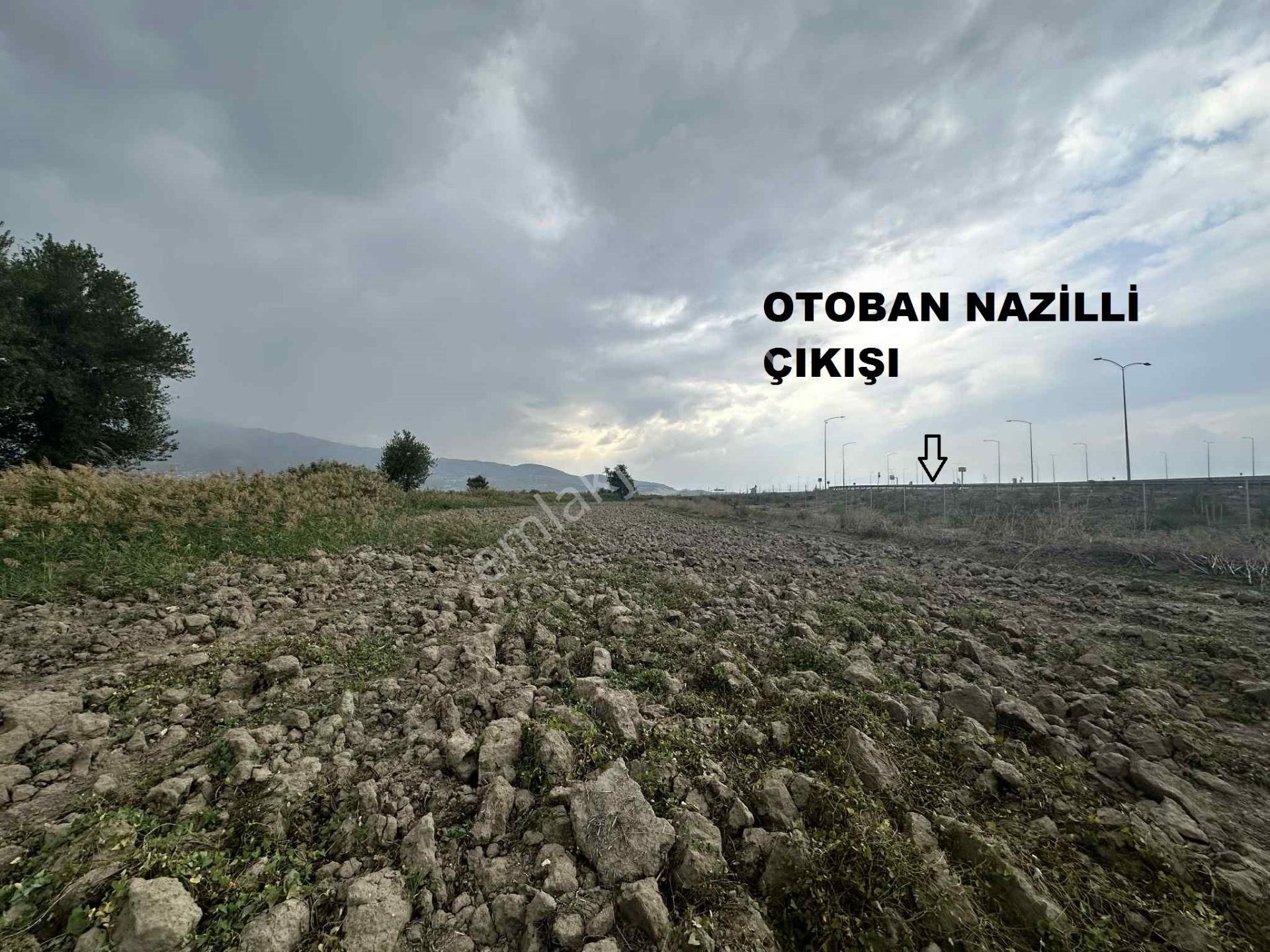 Nazilli Otoban Yol Ayrımında Satılık 9 Dönüm Tarla - Görsel 9