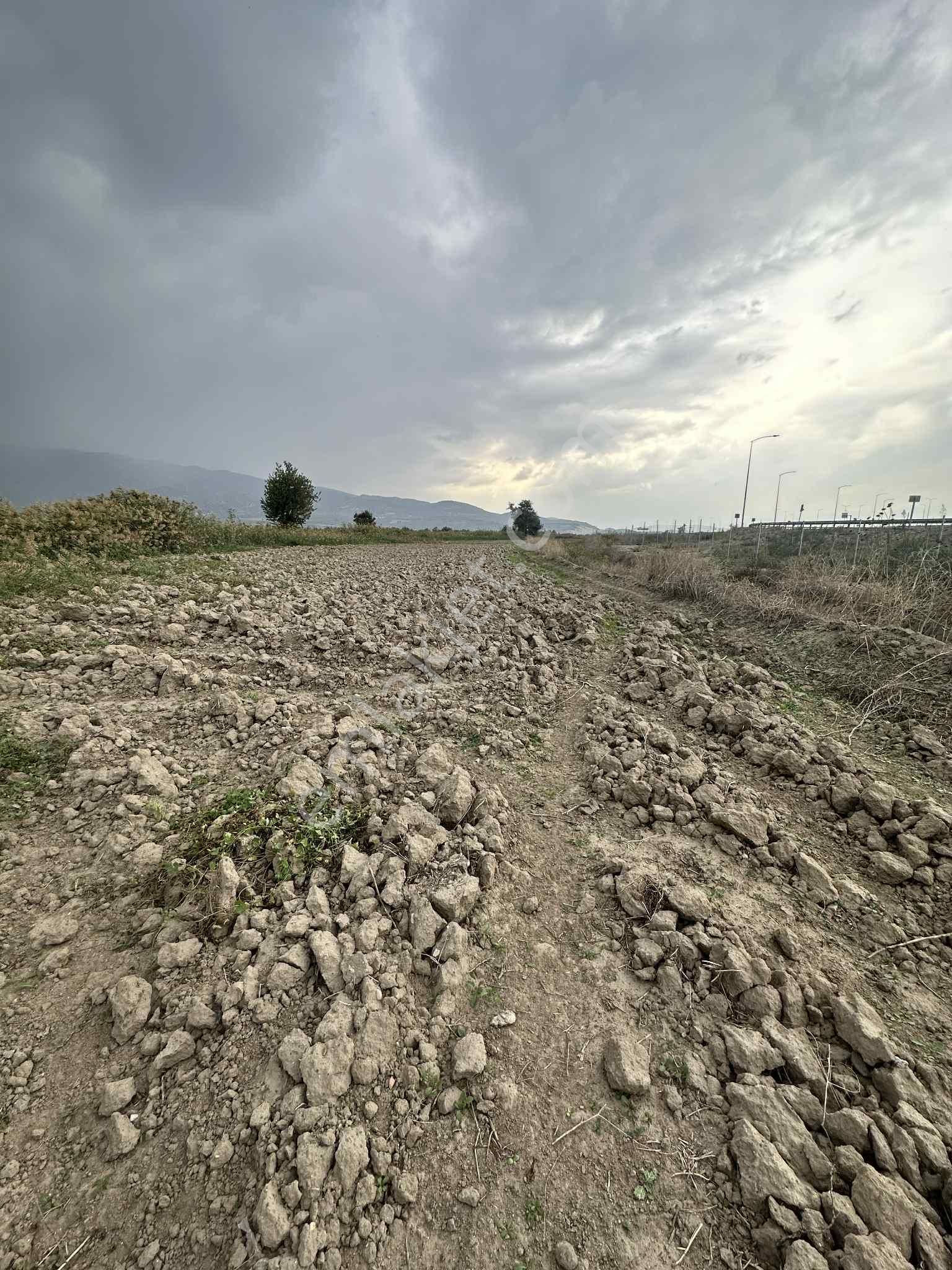 Nazilli Otoban Yol Ayrımında Satılık 9 Dönüm Tarla - Görsel 14