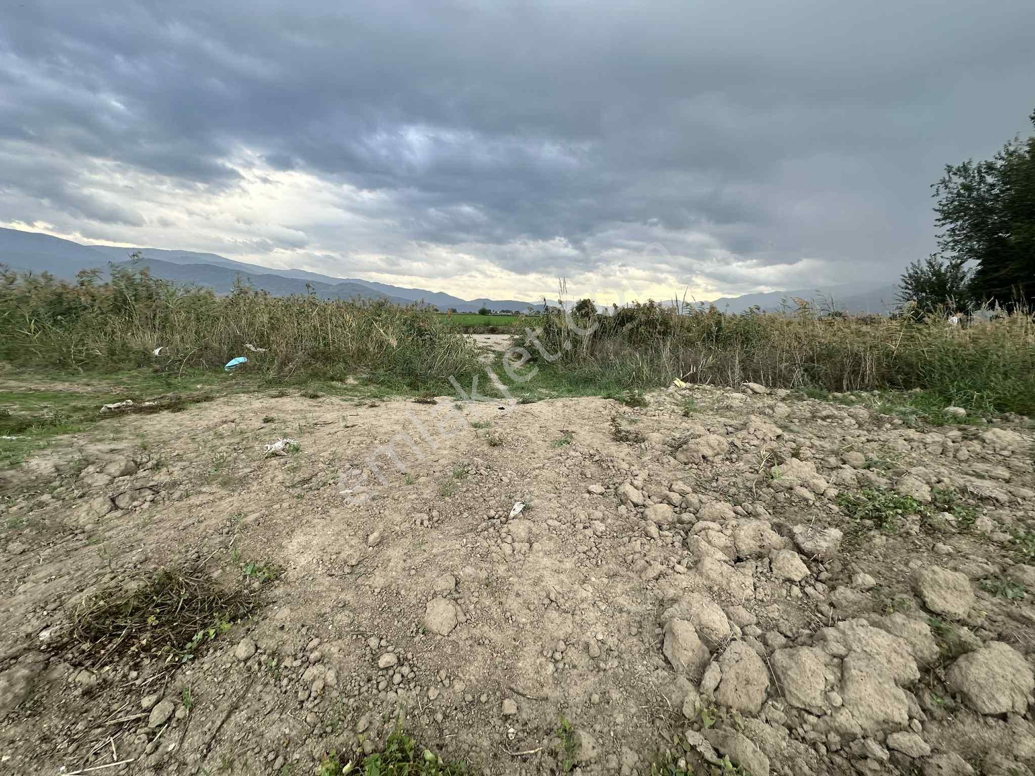 Nazilli Otoban Yol Ayrımında Satılık 9 Dönüm Tarla - Görsel 3