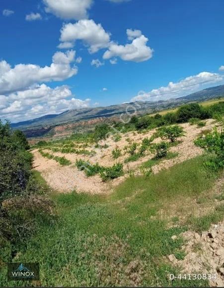 Denizli, Çal, Akkent'te Satılık Bağ - Görsel 7