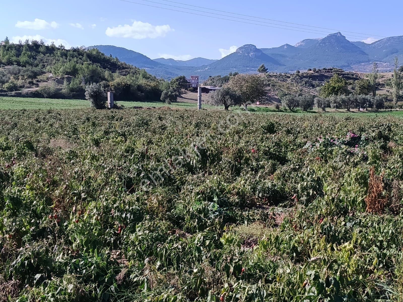 Ana Yol Üzeri Karaisali Merkese 2 Dakika - Görsel 9