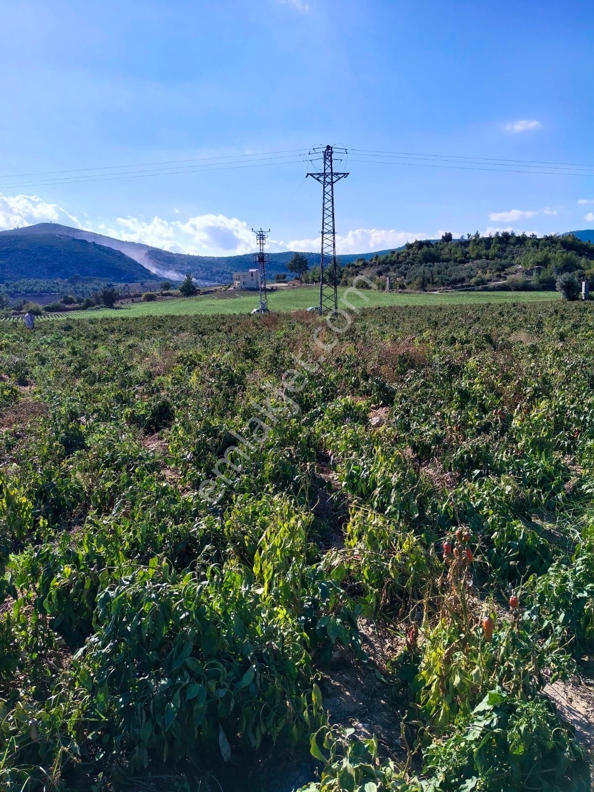Ana Yol Üzeri Karaisali Merkese 2 Dakika - Görsel 7