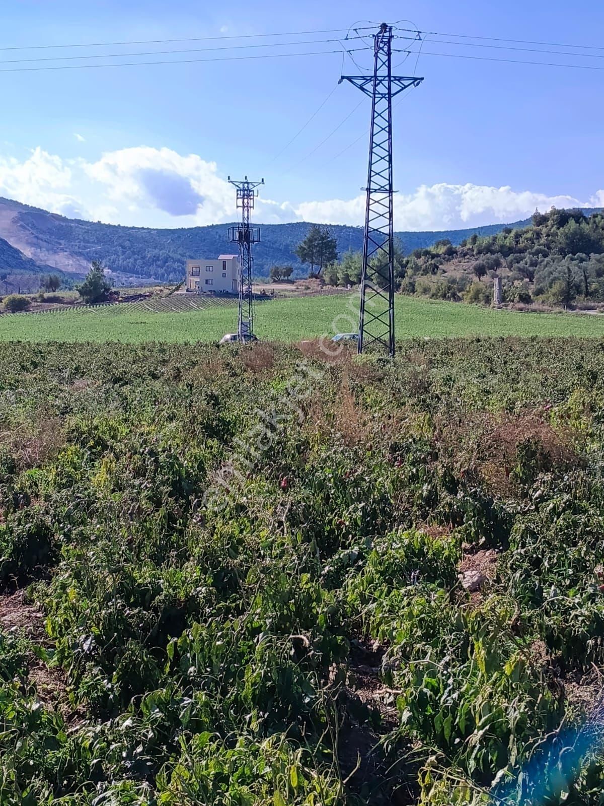 Ana Yol Üzeri Karaisali Merkese 2 Dakika - Görsel 6