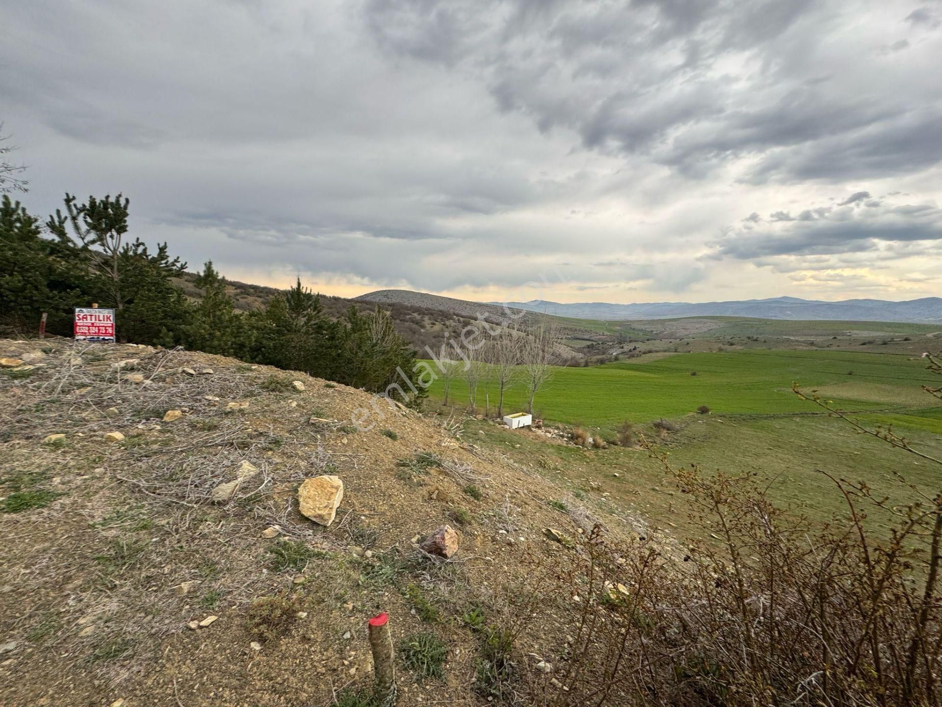 Tokat Merkez'de Satılık Arazi - Görsel 6