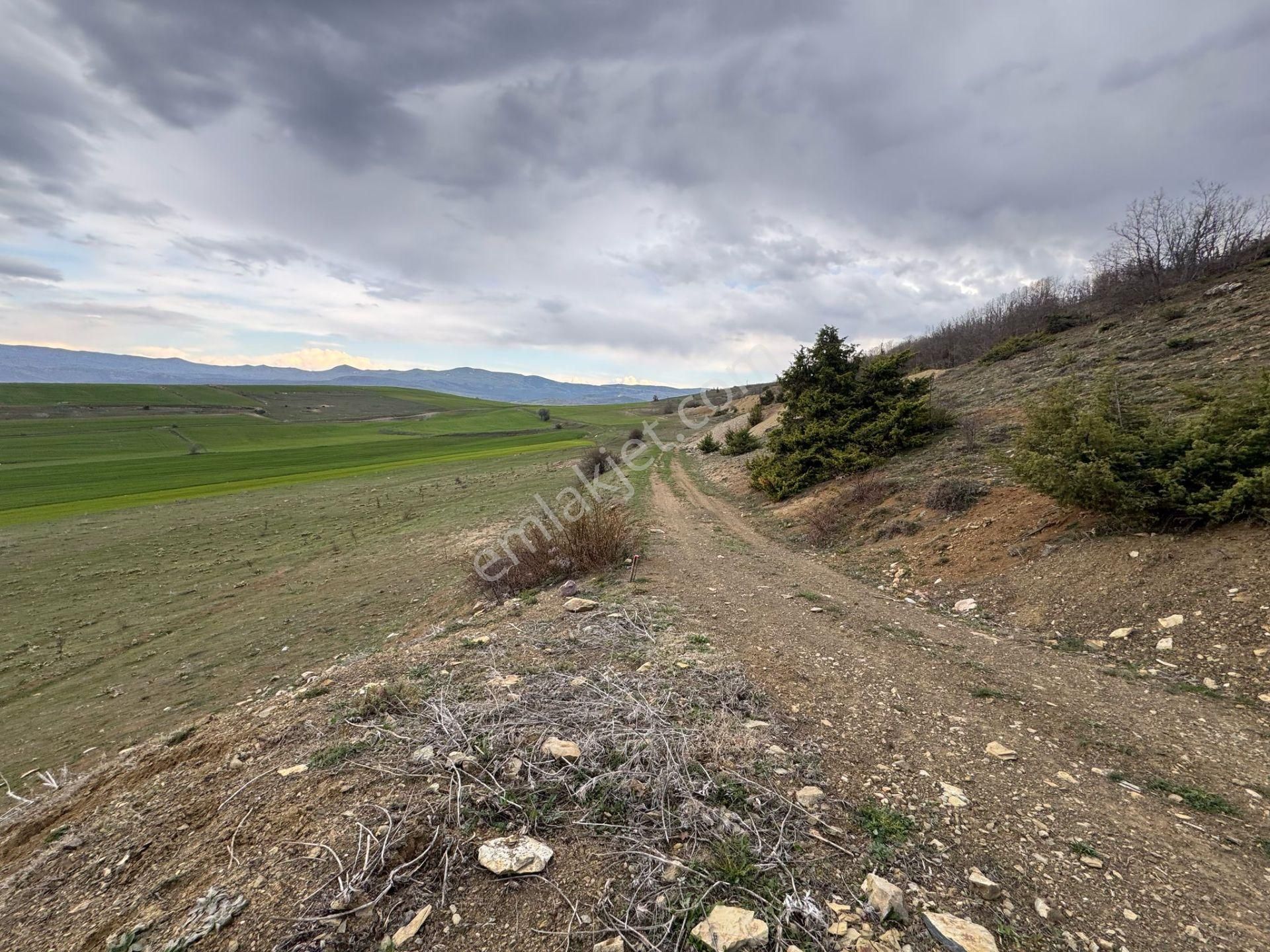 Tokat Merkez'de Satılık Arazi - Görsel 10
