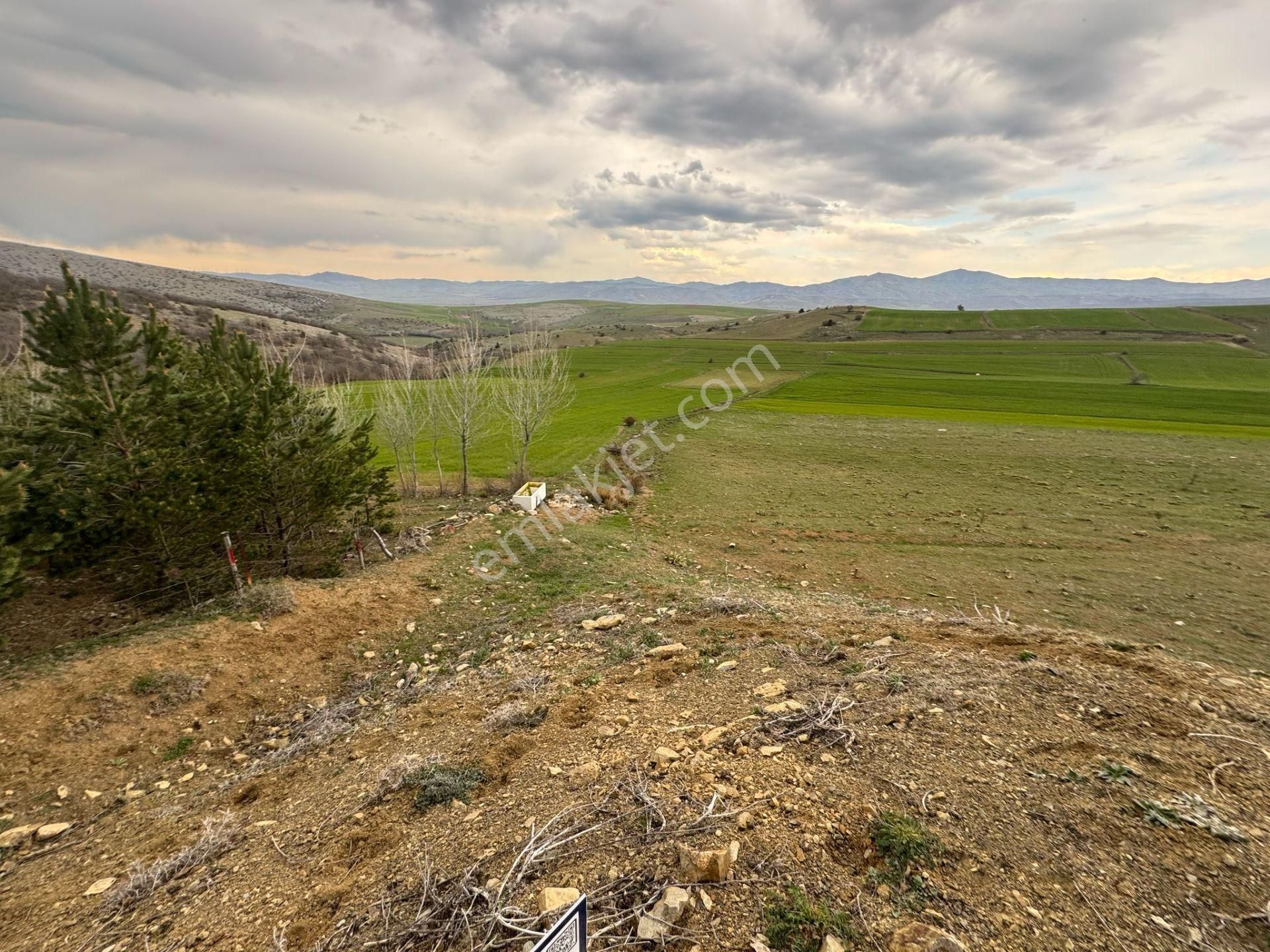Tokat Merkez'de Satılık Arazi - Görsel 7