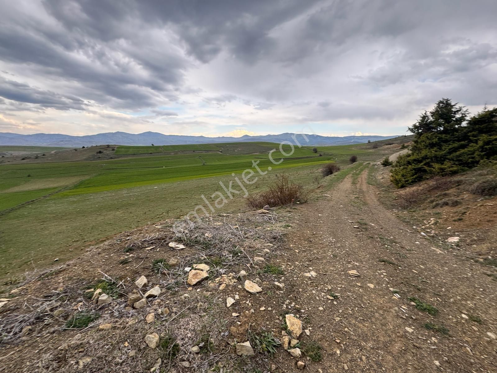 Tokat Merkez'de Satılık Arazi - Görsel 19