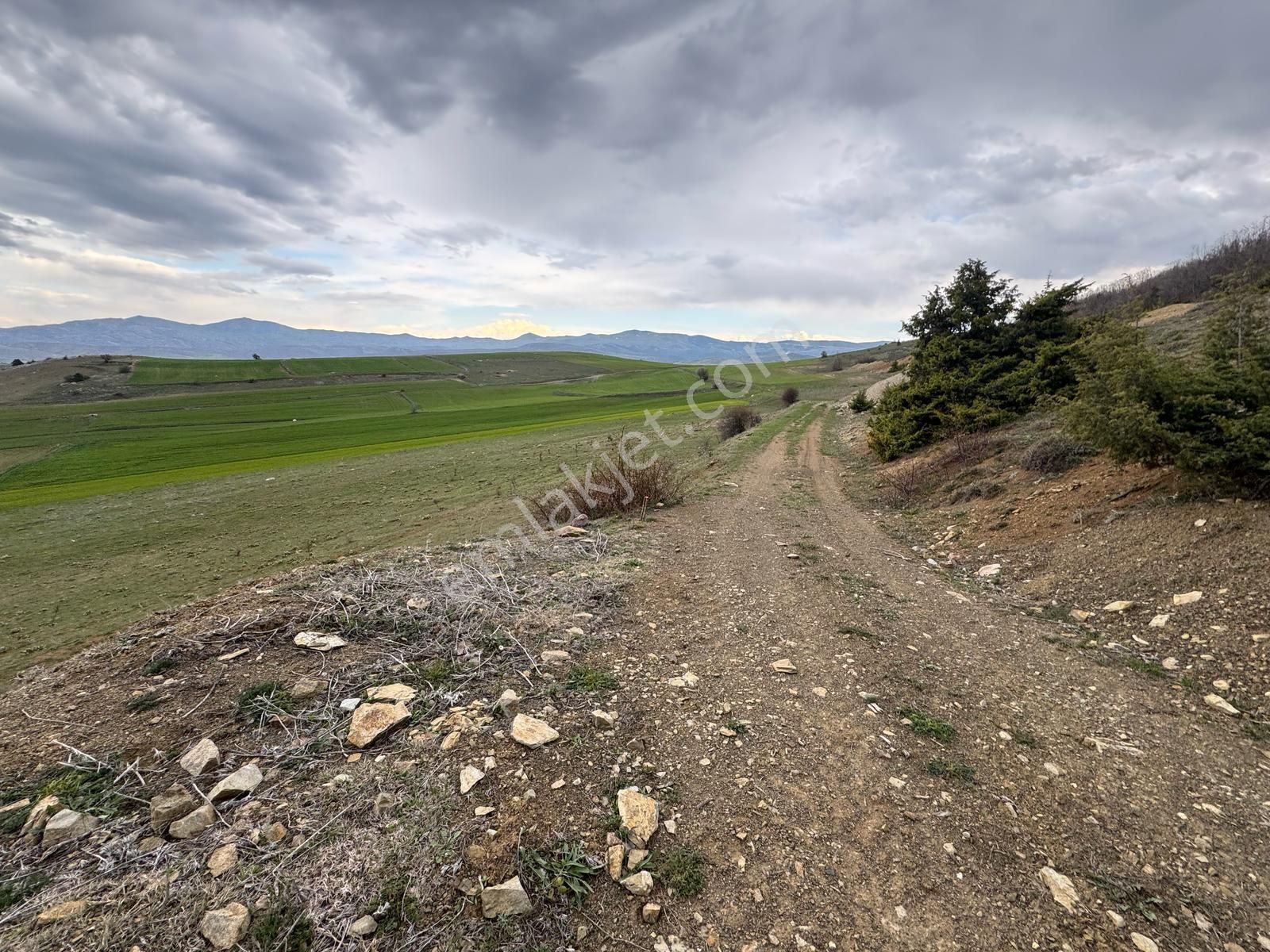 Tokat Merkez'de Satılık Arazi - Görsel 22