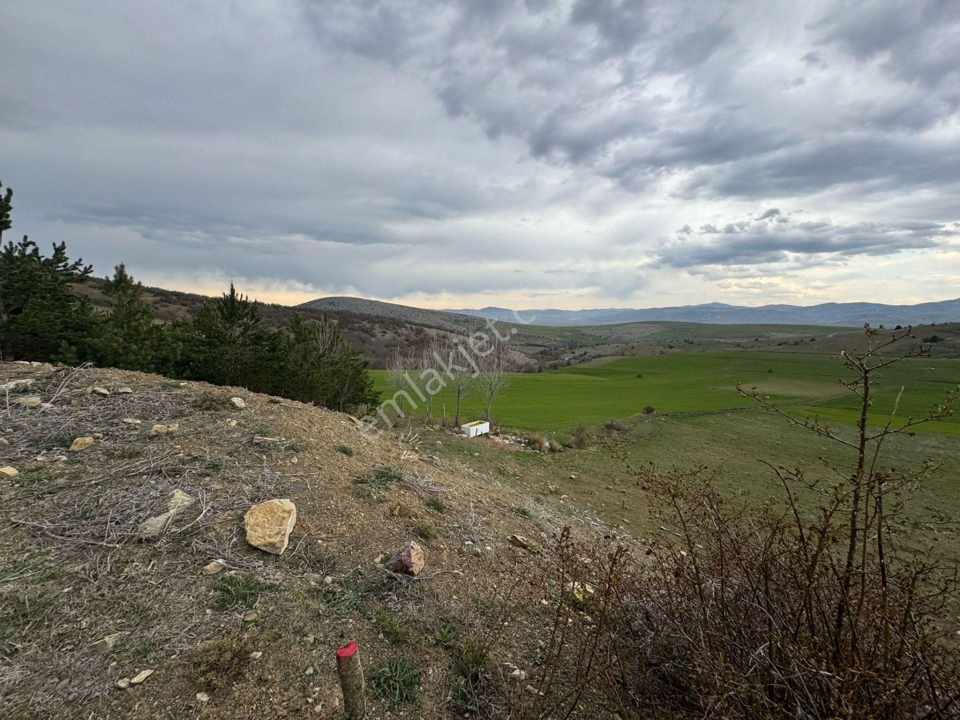 Tokat Merkez'de Satılık Arazi - Görsel 3