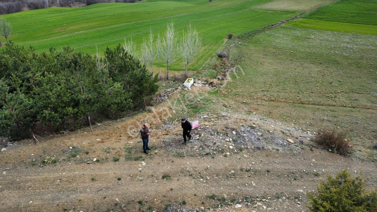Tokat Merkez'de Satılık Arazi - Görsel 33