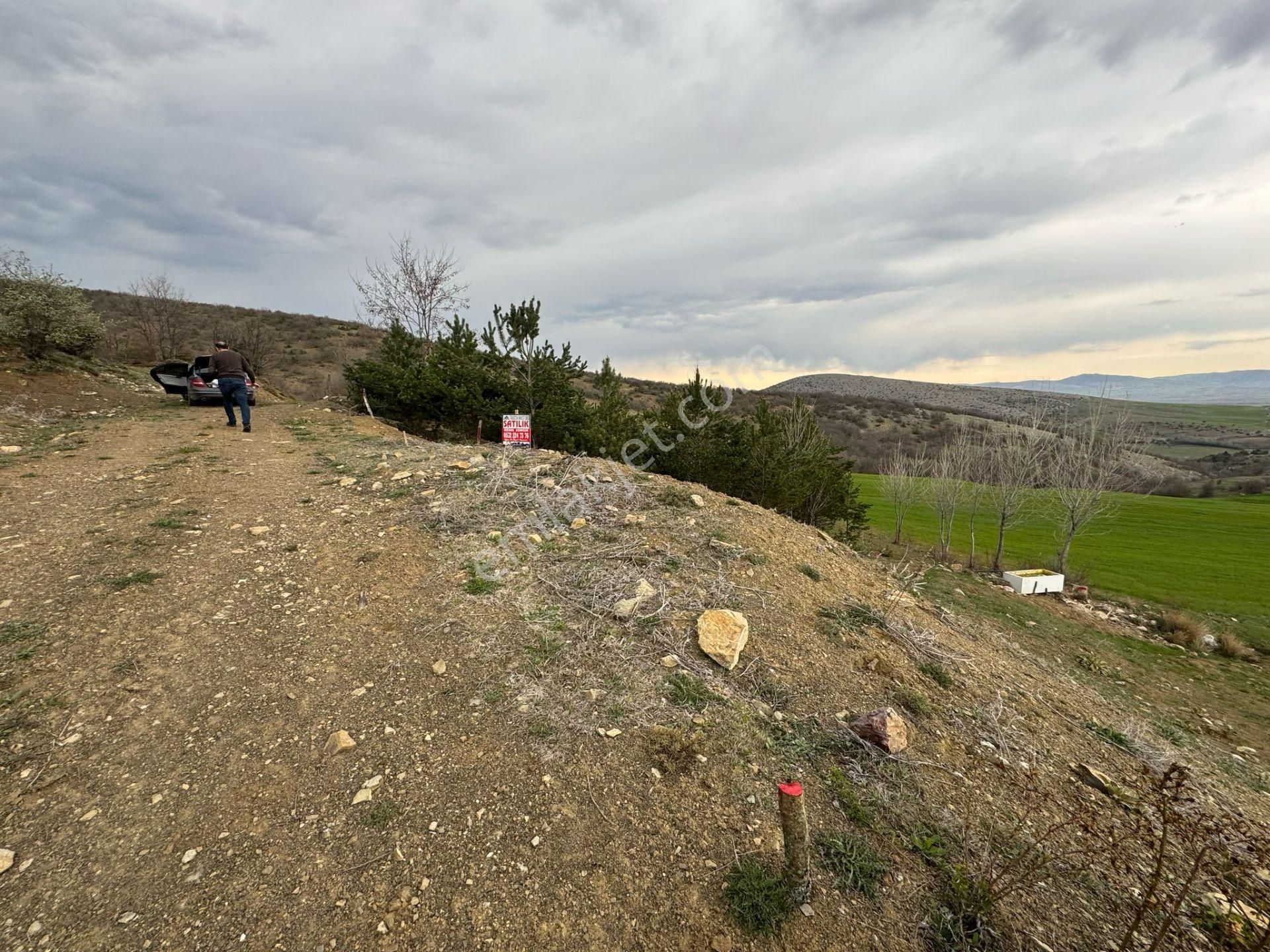 Tokat Merkez'de Satılık Arazi - Görsel 5