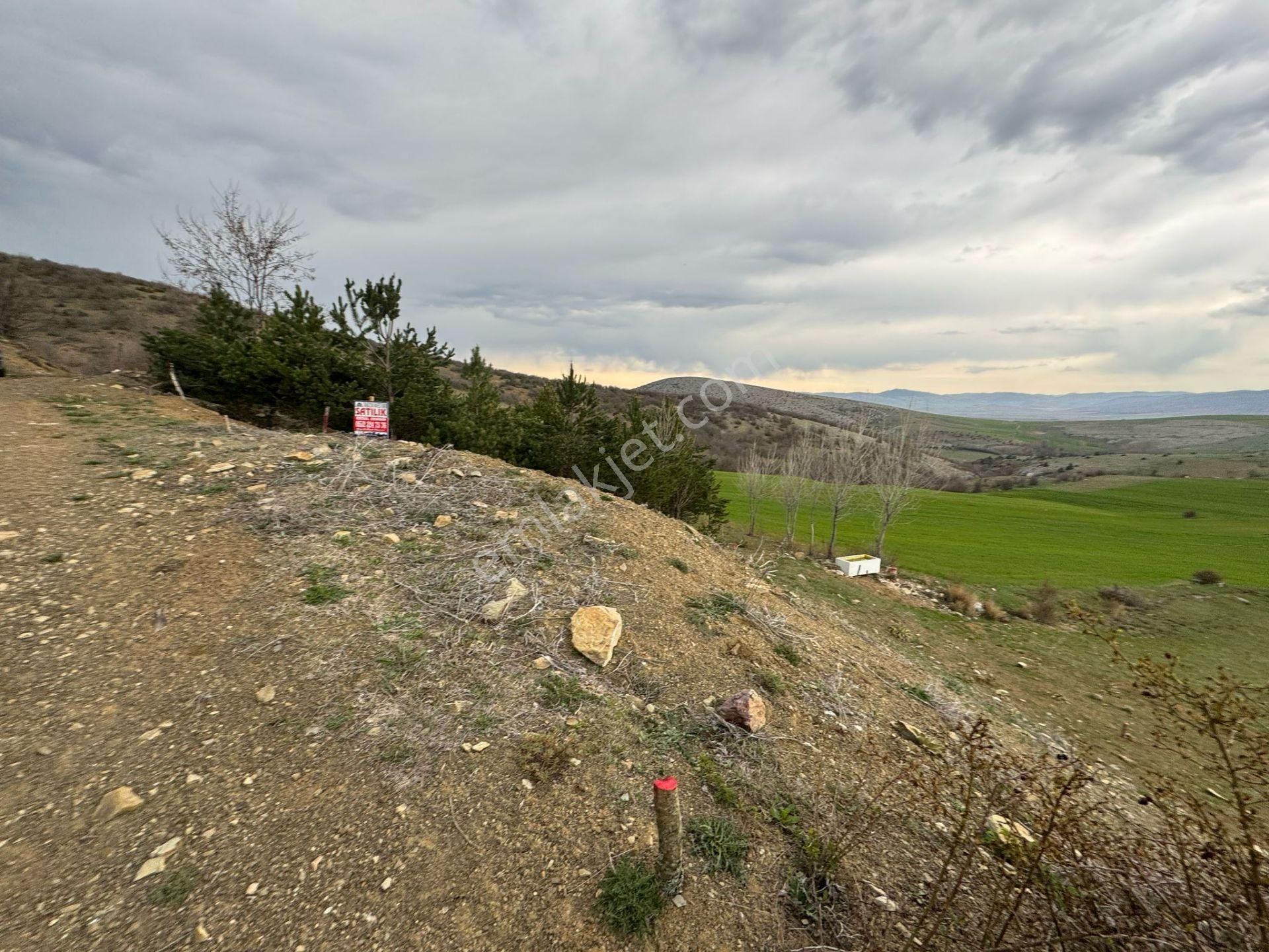 Tokat Merkez'de Satılık Arazi - Görsel 8