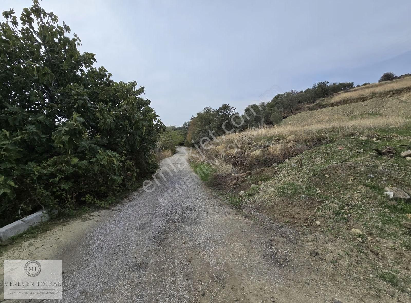 Süleymanlı Asfalta Cephe 222 M² Bahçe - Görsel 6