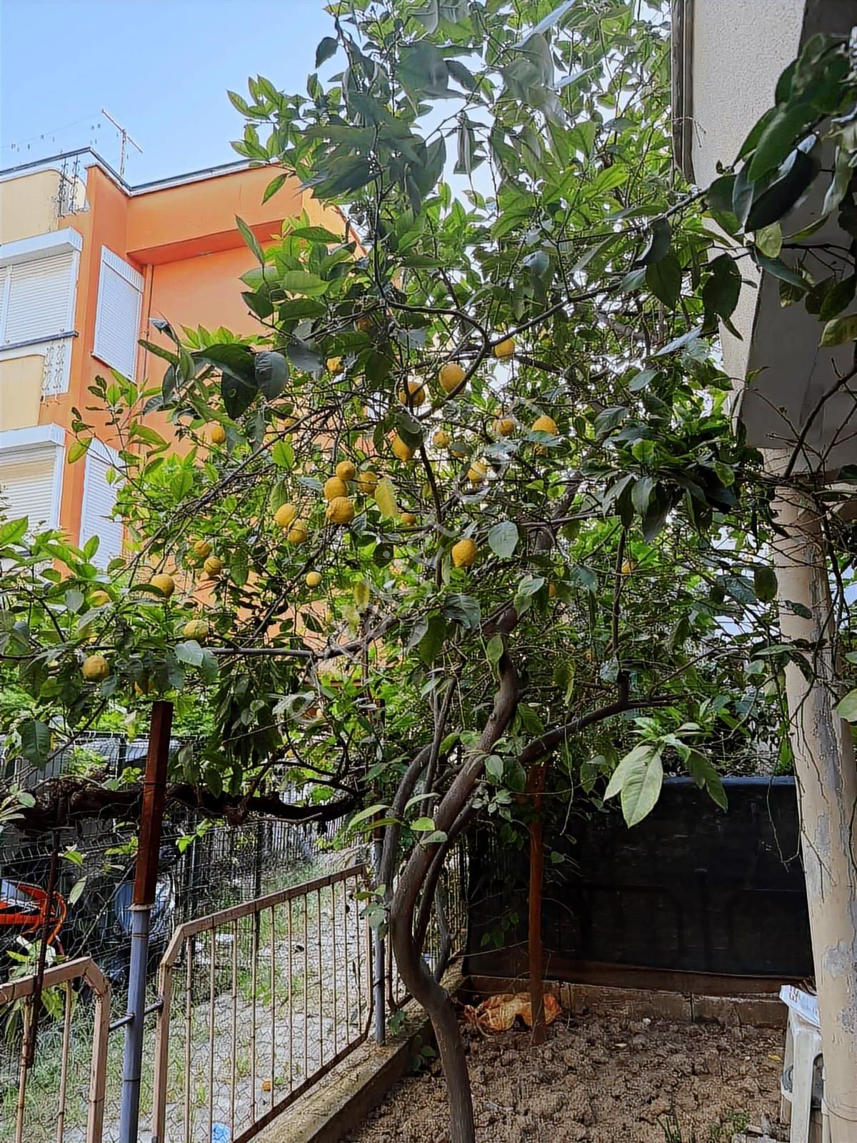 Güzeloba Güzelbağda Daire Fiyatına Mustakil Satılık Villa - Görsel 10