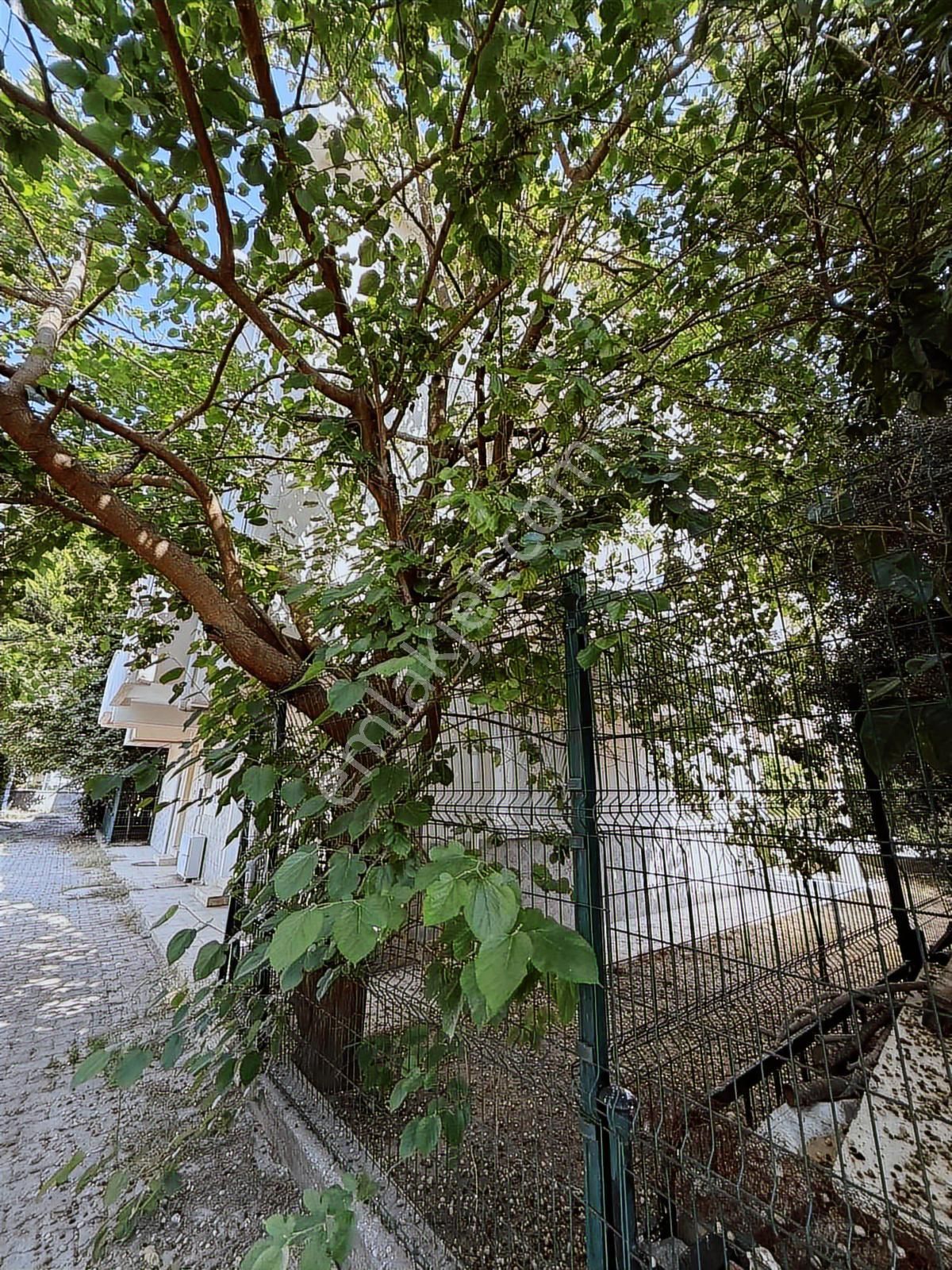 Güzelobada 440m2 Satılık İkiz Villa - Görsel 12