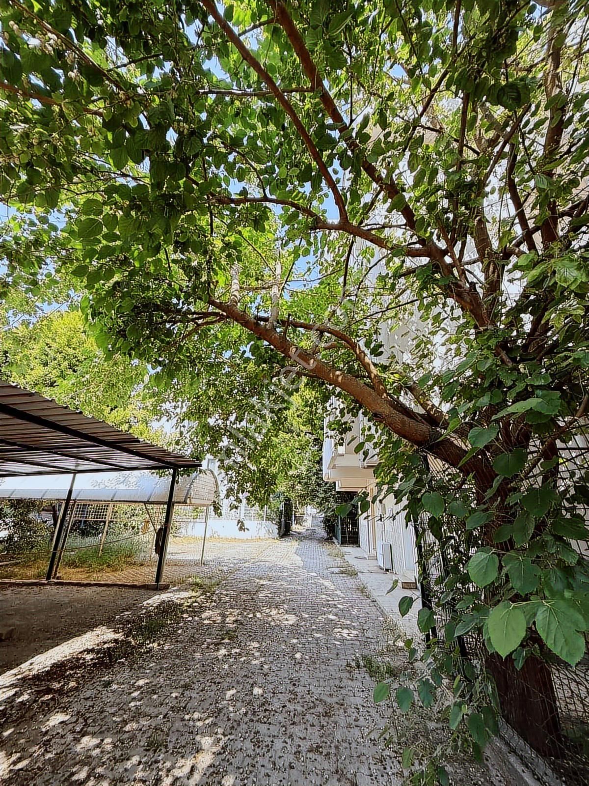 Güzelobada 440m2 Satılık İkiz Villa - Görsel 13