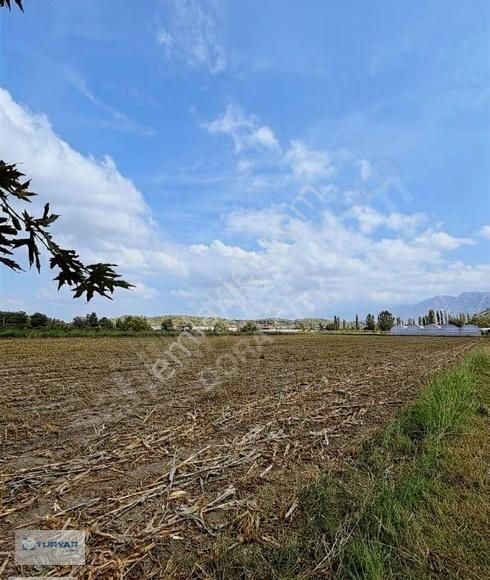 Antalya Kaş'ta Satılık Parselli Tarla - Görsel 4