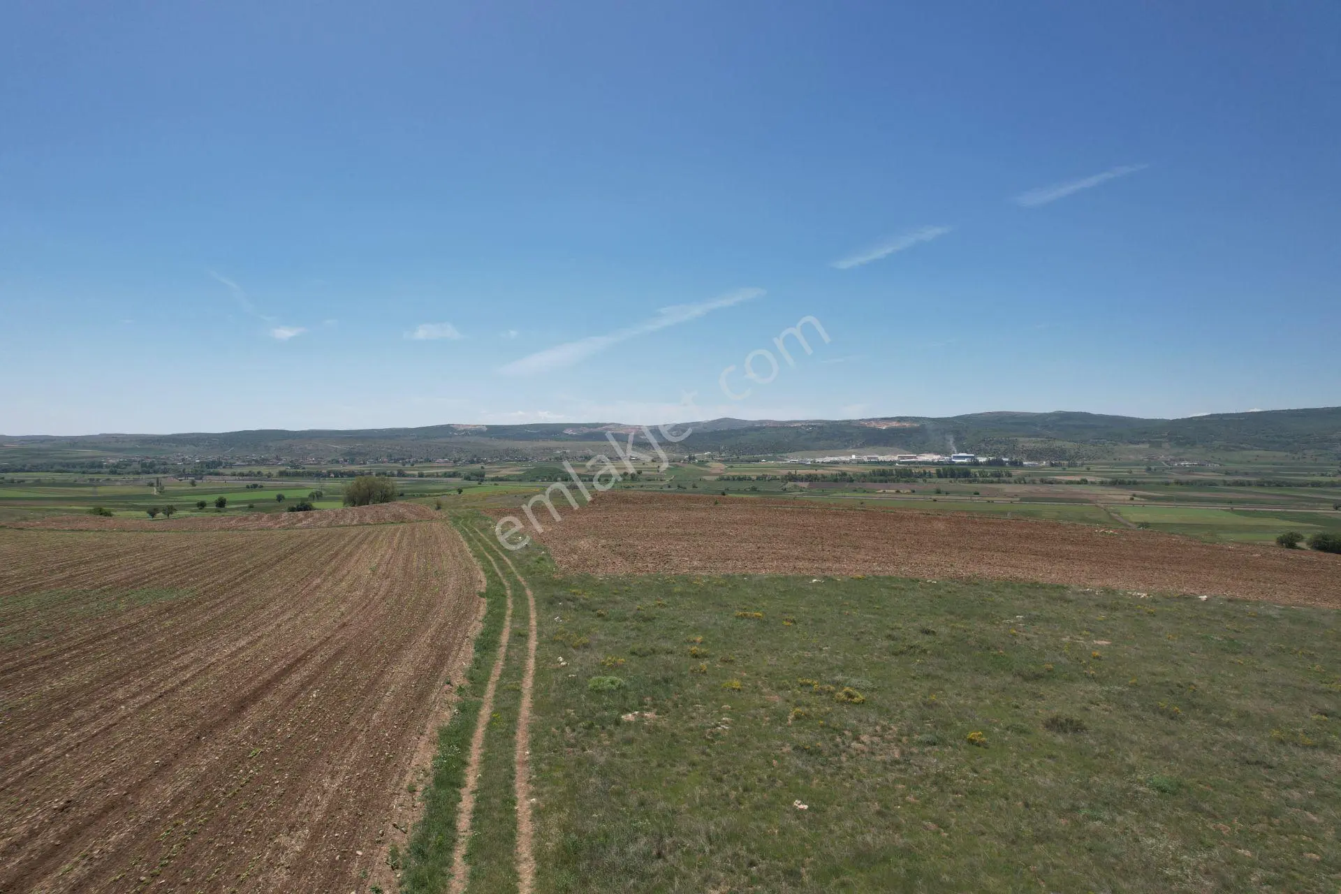 Seyitgazi Ayvalıda 10.850 M² Kadastral Yola Cepheli Düz Tarla