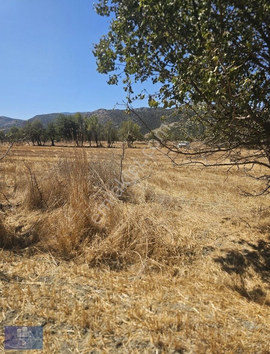 Antalya Döşemealtı Bademagacında 5.359m2 Tarla - Görsel 4