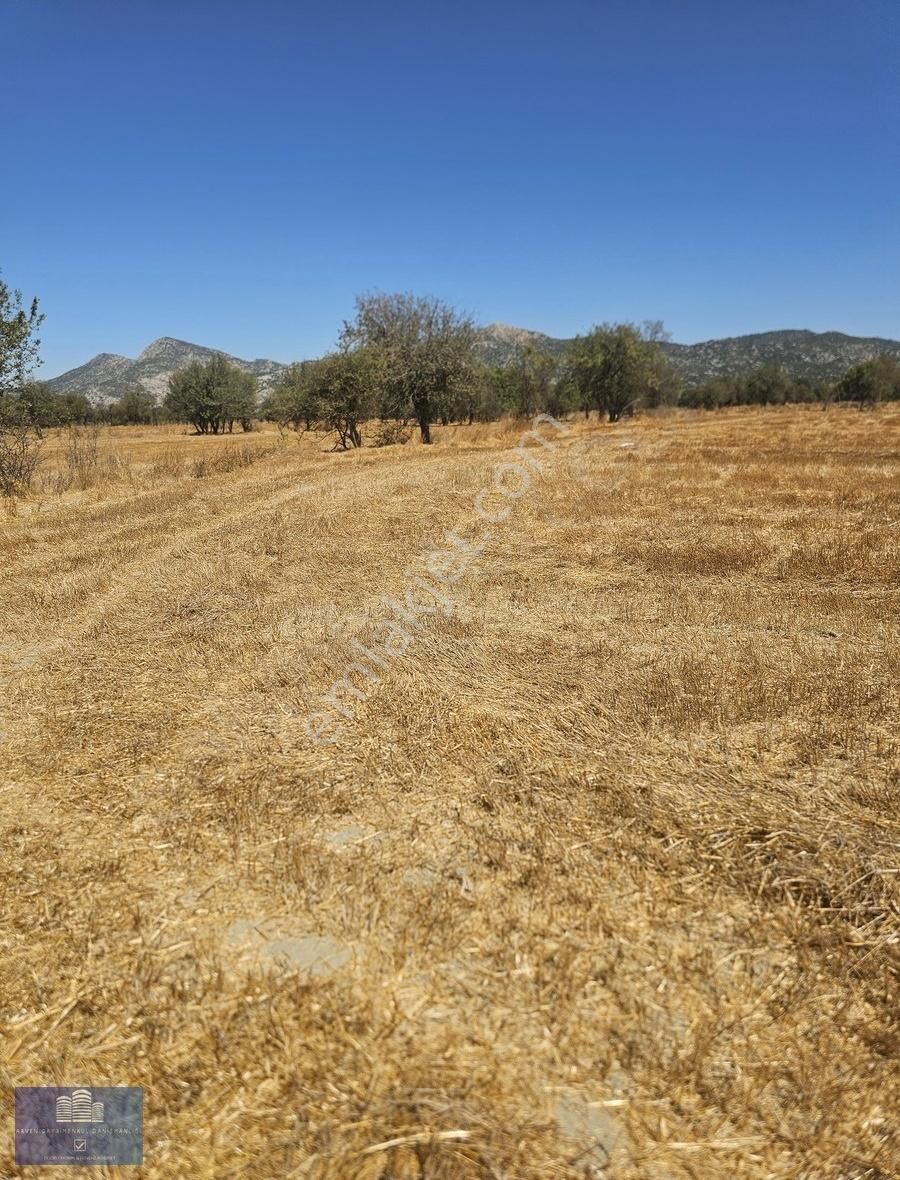 Antalya Döşemealtı Bademagacında 5.359m2 Tarla - Görsel 7