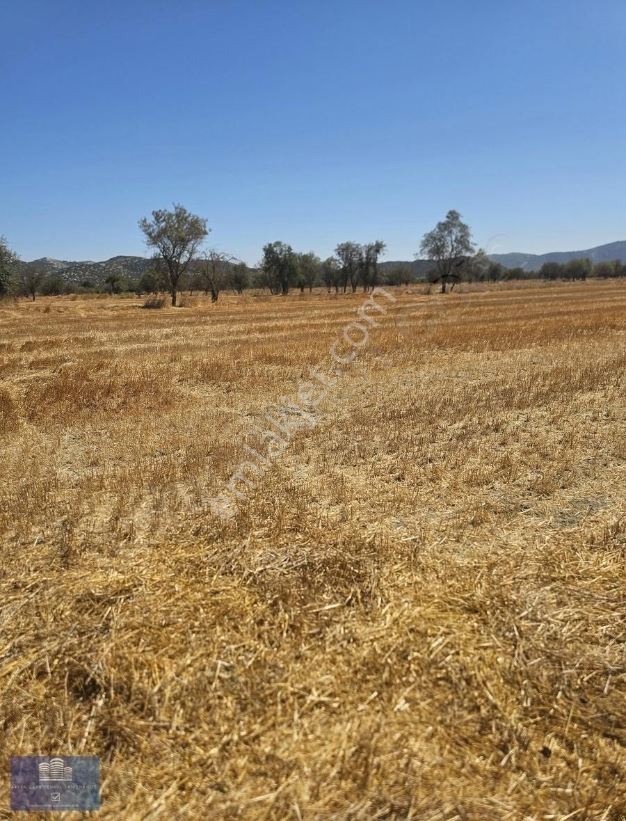 Antalya Döşemealtı Bademagacında 5.359m2 Tarla - Görsel 8