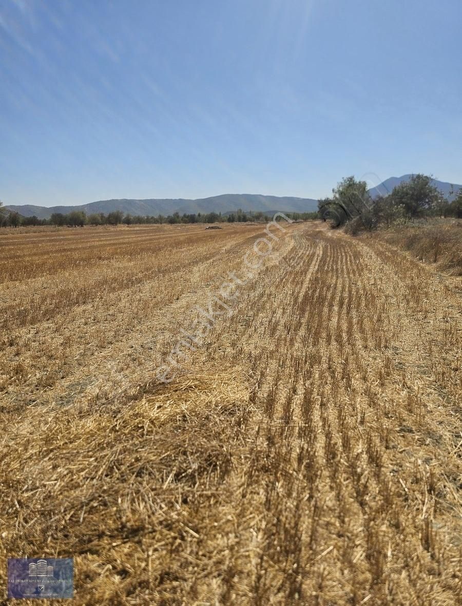 Antalya Döşemealtı Bademagacında 5.359m2 Tarla - Görsel 2