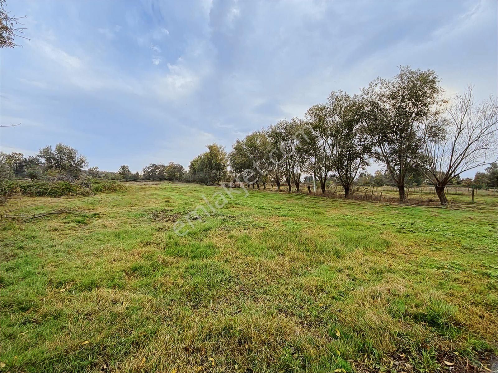 Samsun Sinop Yoluna Köşe 2. Parsel Dereköy 19 Mayıs Takas Olur - Görsel 12