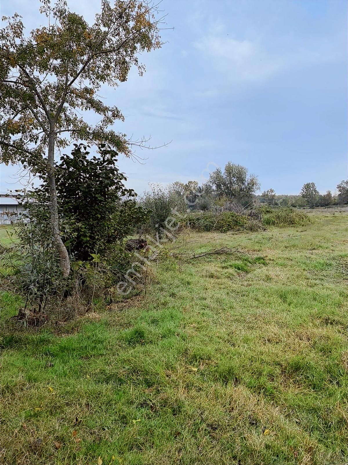 Samsun Sinop Yoluna Köşe 2. Parsel Dereköy 19 Mayıs Takas Olur - Görsel 7