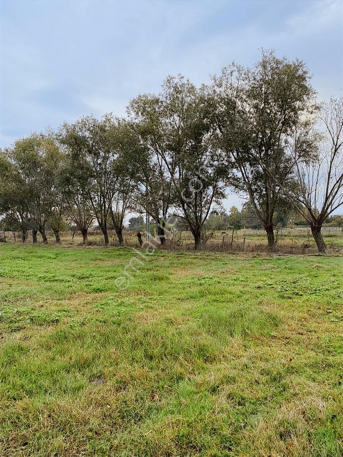 Samsun Sinop Yoluna Köşe 2. Parsel Dereköy 19 Mayıs Takas Olur - Görsel 5