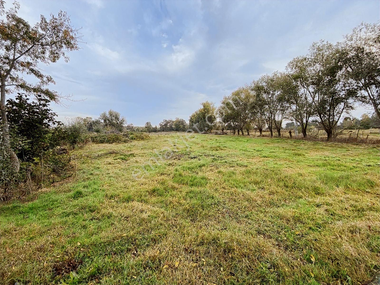 Samsun Sinop Yoluna Köşe 2. Parsel Dereköy 19 Mayıs Takas Olur - Görsel 11