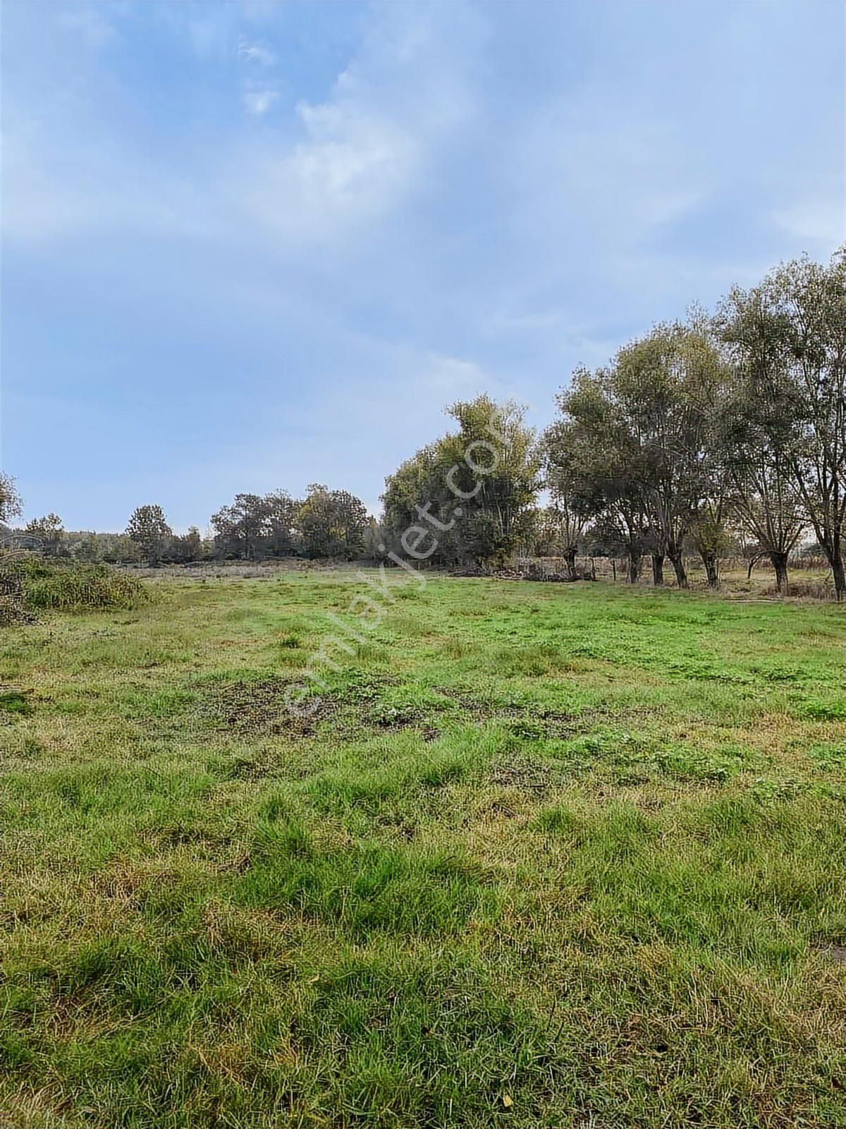 Samsun Sinop Yoluna Köşe 2. Parsel Dereköy 19 Mayıs Takas Olur - Görsel 16