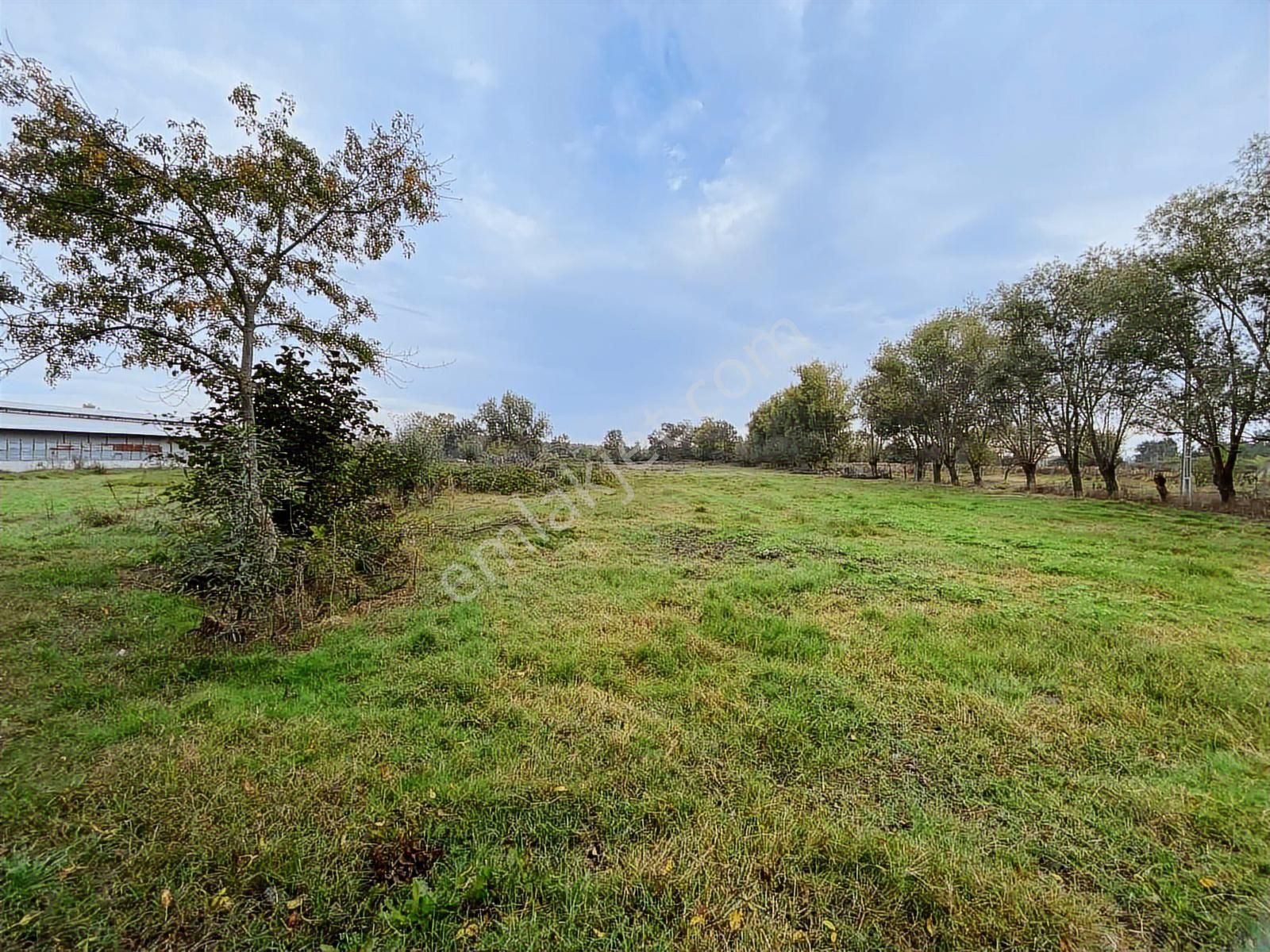 Samsun Sinop Yoluna Köşe 2. Parsel Dereköy 19 Mayıs Takas Olur - Görsel 4