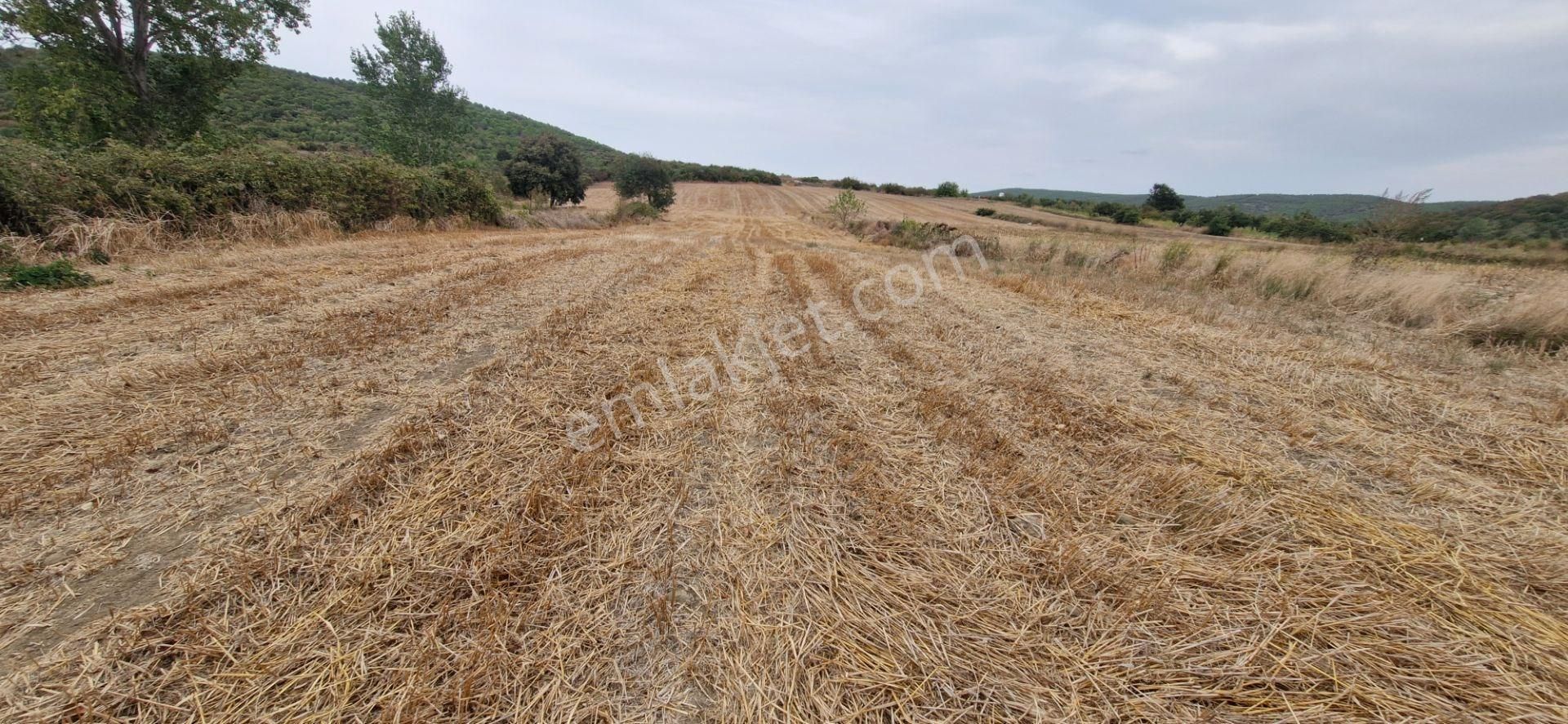 Mudanya Emirler Yenicesi Satılık Tarla - Görsel 9