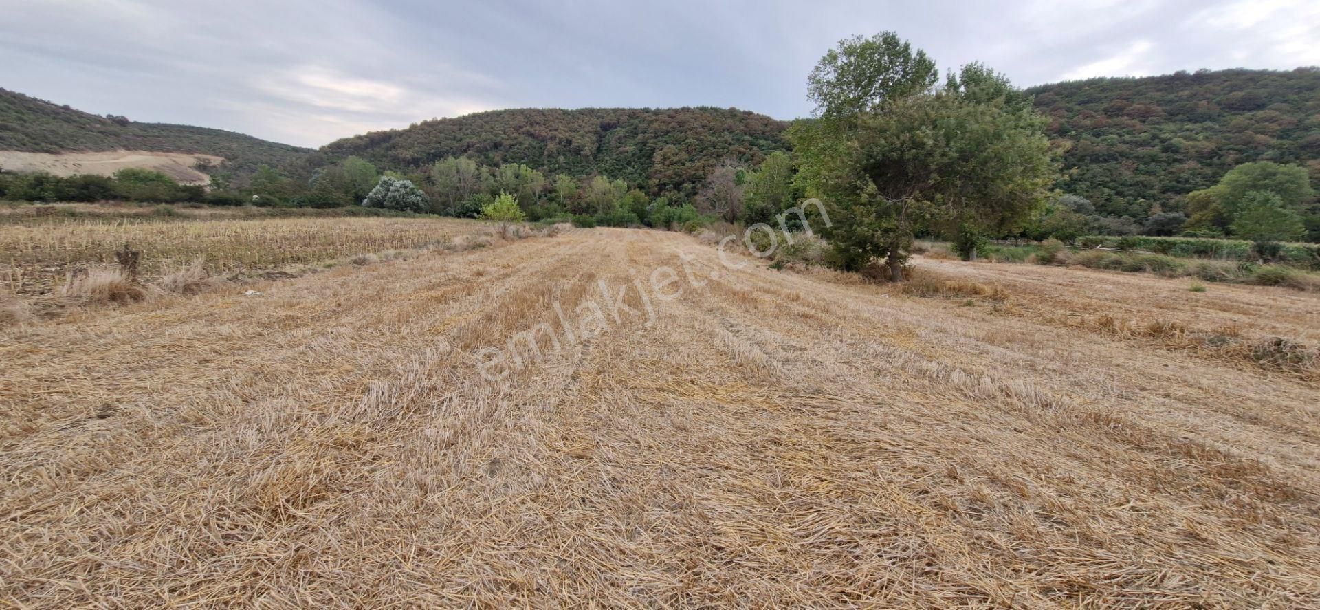 Mudanya Emirler Yenicesi Satılık Tarla