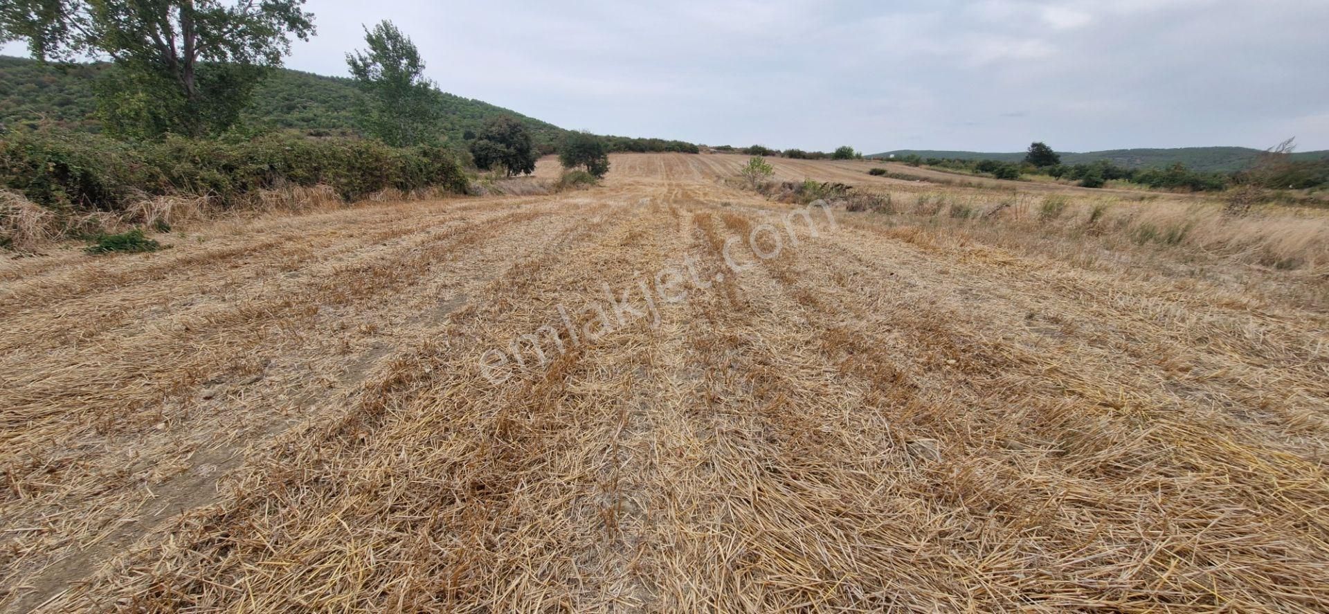 Mudanya Emirler Yenicesi Satılık Tarla - Görsel 7