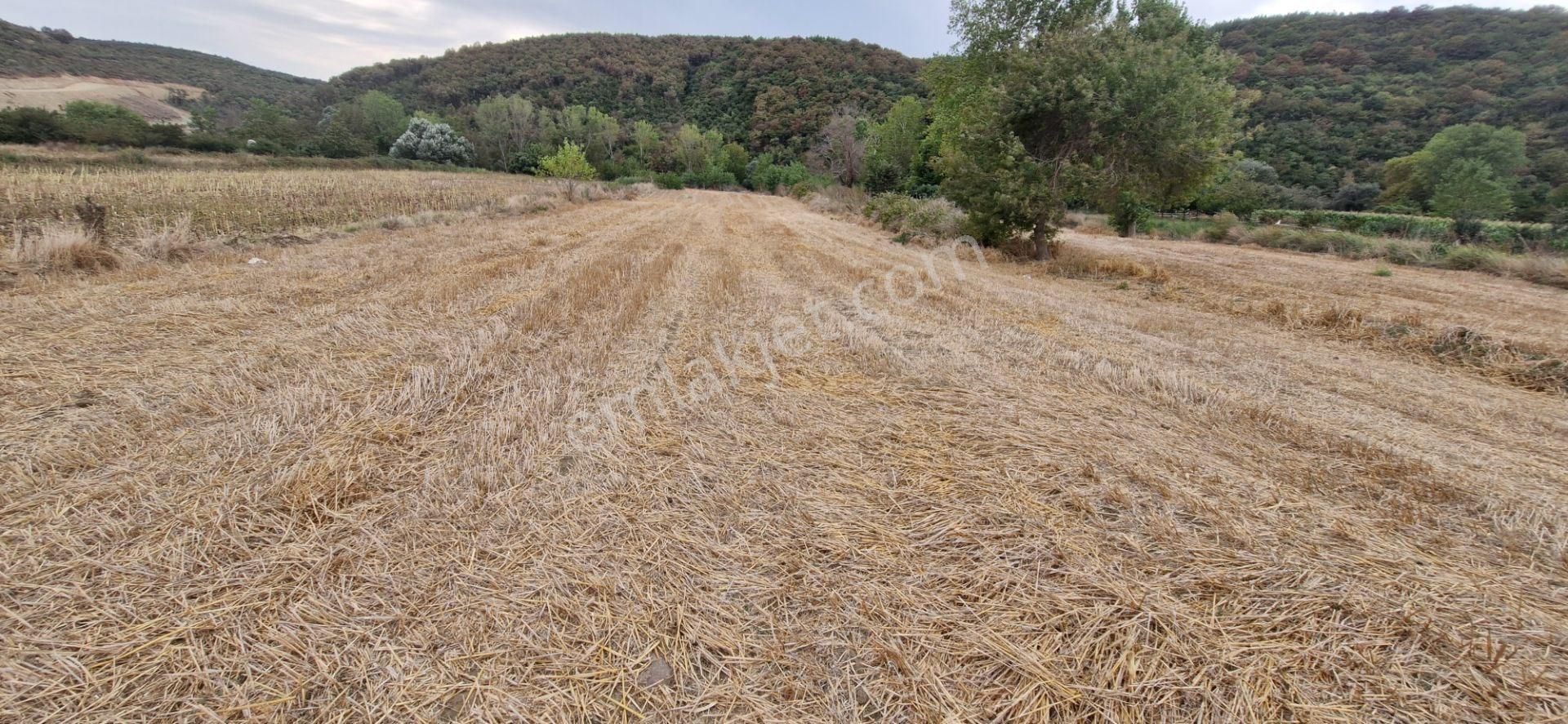 Mudanya Emirler Yenicesi Satılık Tarla - Görsel 2