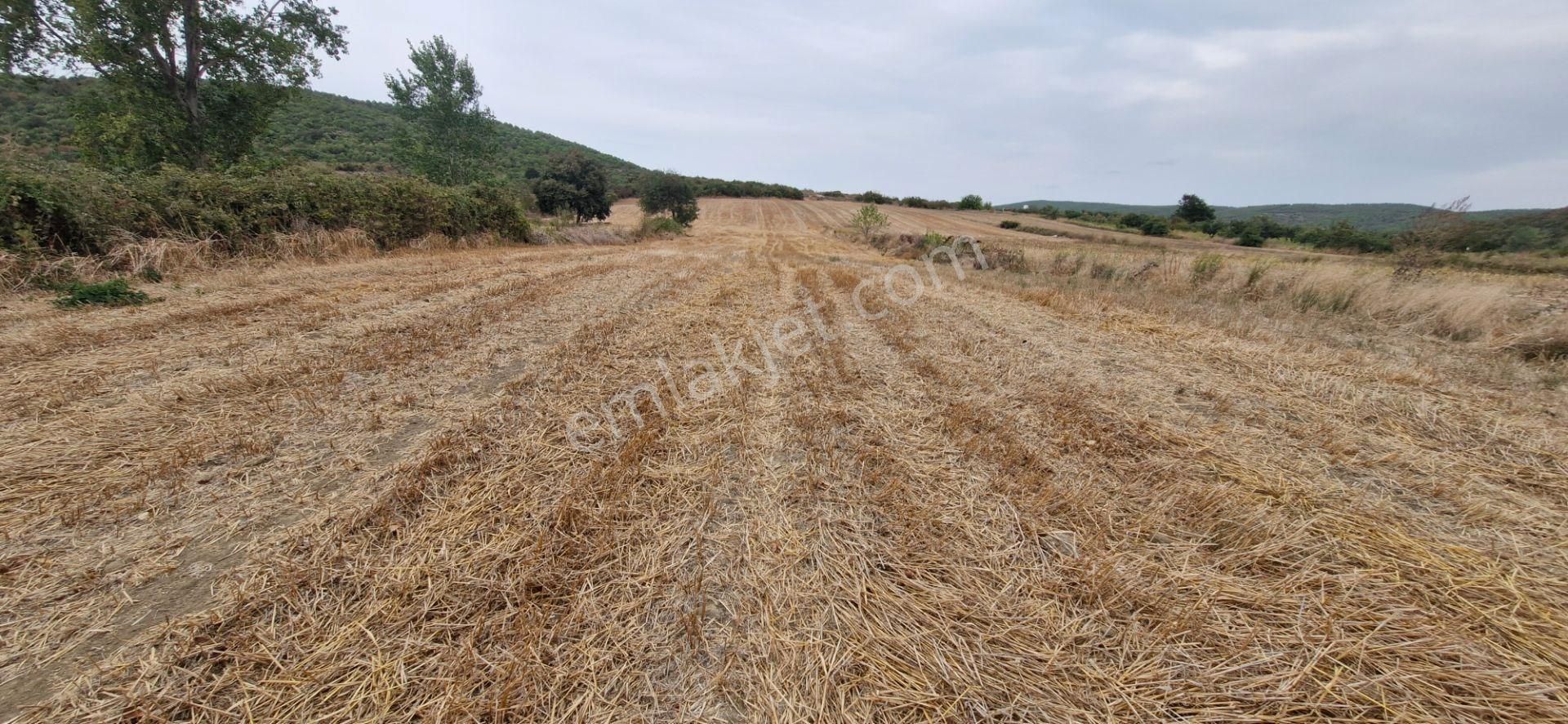 Mudanya Emirler Yenicesi Satılık Tarla - Görsel 8
