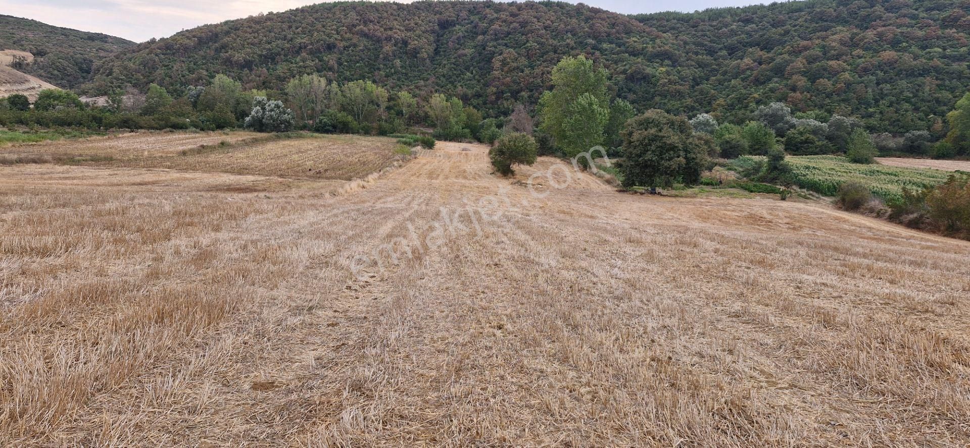 Mudanya Emirler Yenicesi Satılık Tarla - Görsel 10