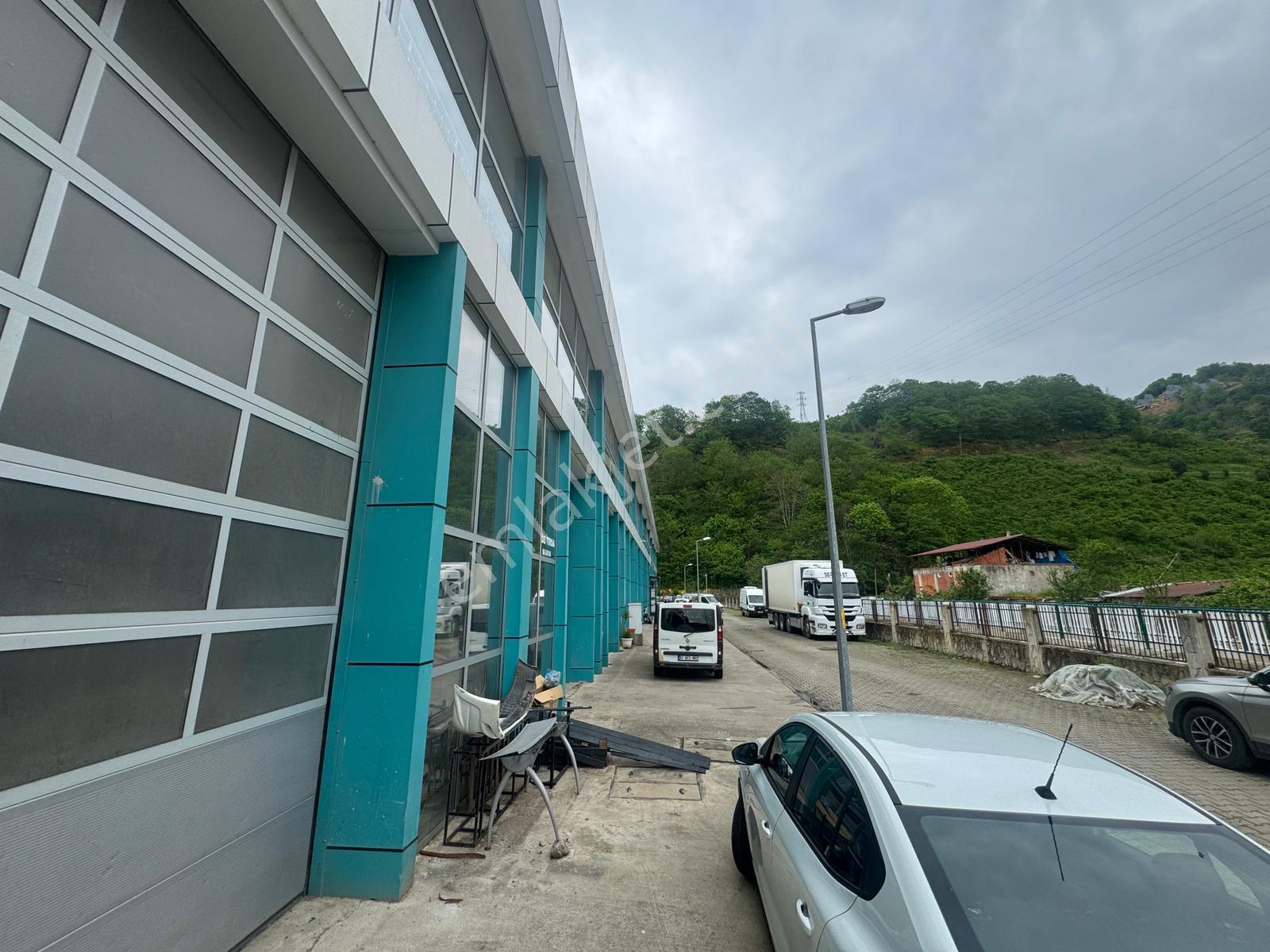 Trabzon Araklı Sanayi'de Satılık Galeri Katlı Dükkan - Görsel 2
