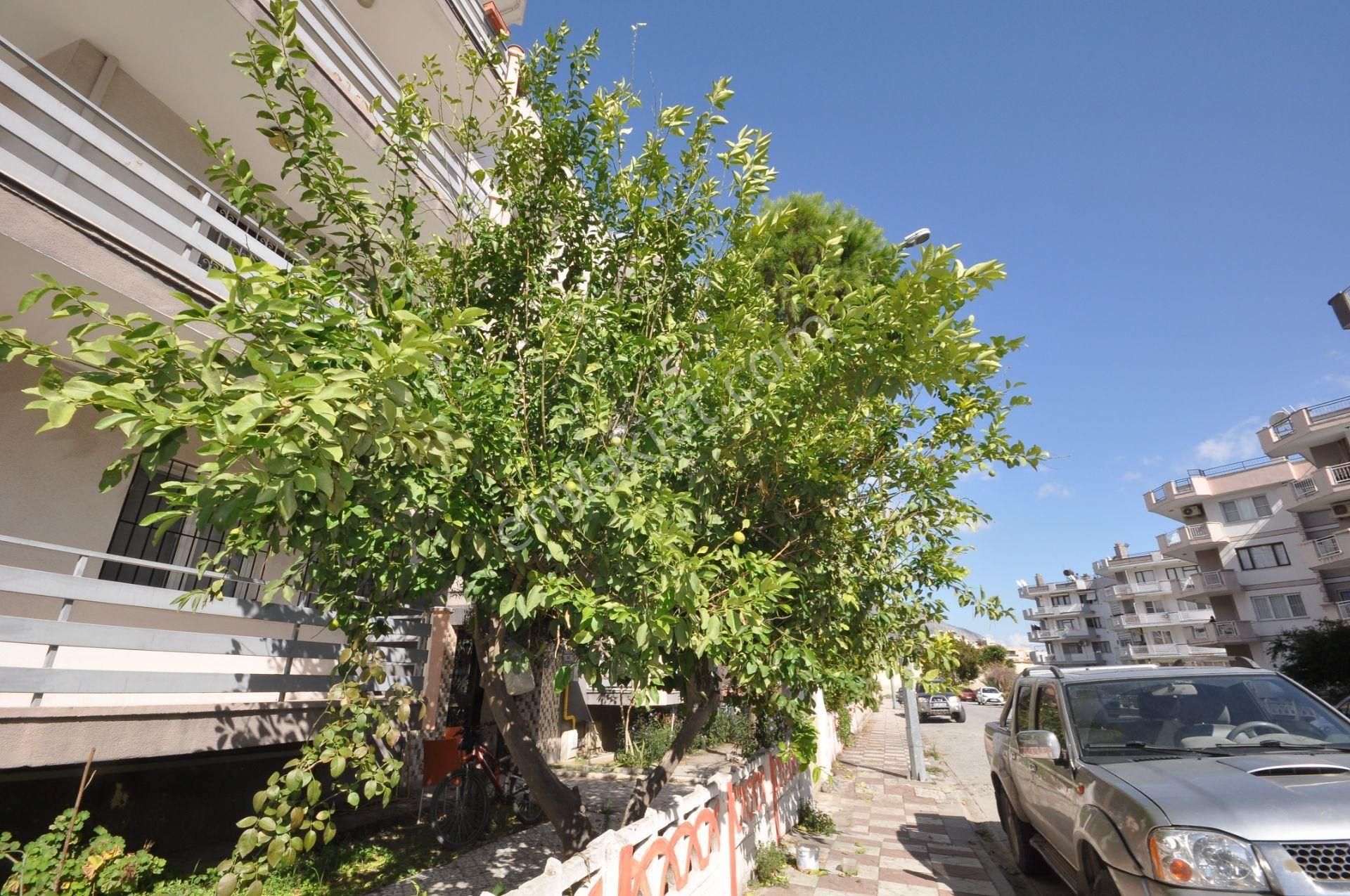 Söke Yenicami Mh. Satılık 3+1 Daire - Görsel 34