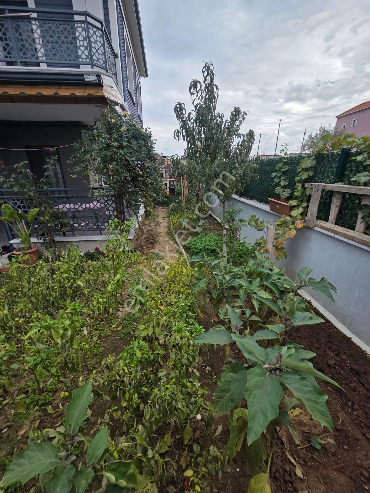 Haydar Emlaktan Çeşmelide,iskanlı,full Eşyalı,bahçeli,yeni Dubleks Villa - Görsel 6